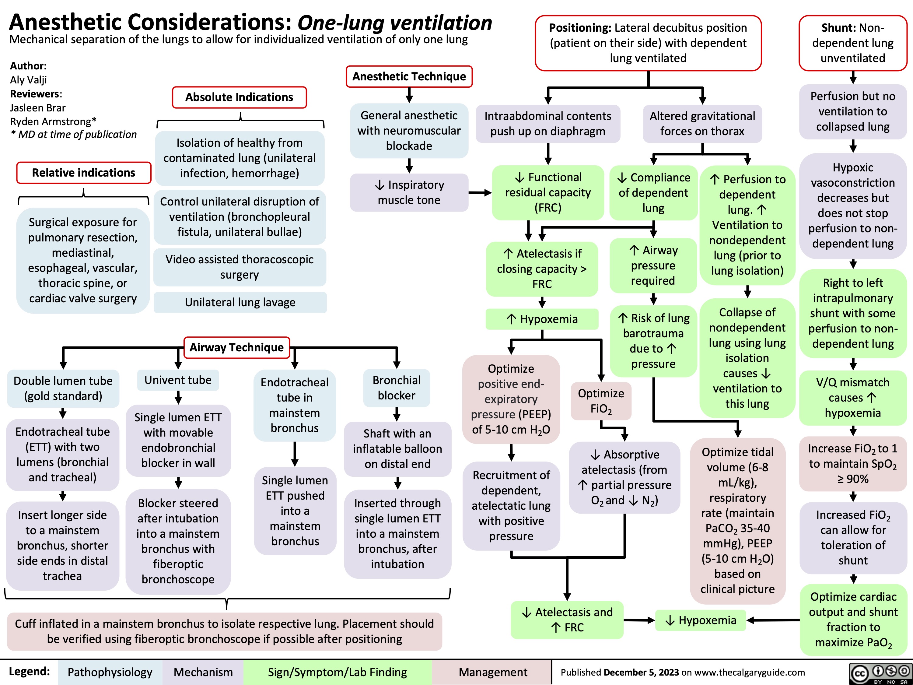 Anesthetic Considerations: One-lung ventilation Mechanical separation of the lungs to allow for individualized ventilation of only one lung
Positioning: Lateral decubitus position (patient on their side) with dependent lung ventilated
Shunt: Non- dependent lung unventilated
Perfusion but no ventilation to collapsed lung
Hypoxic vasoconstriction decreases but does not stop perfusion to non- dependent lung
Right to left intrapulmonary shunt with some perfusion to non- dependent lung
V/Q mismatch causes ↑ hypoxemia
Increase FiO2 to 1 to maintain SpO2 ≥ 90%
Increased FiO2 can allow for toleration of shunt
Optimize cardiac output and shunt fraction to maximize PaO2
  Author:
Aly Valji
Reviewers:
Jasleen Brar
Ryden Armstrong*
* MD at time of publication
Relative indications
Surgical exposure for pulmonary resection, mediastinal, esophageal, vascular, thoracic spine, or cardiac valve surgery
Double lumen tube (gold standard)
Endotracheal tube (ETT) with two lumens (bronchial and tracheal)
Insert longer side to a mainstem bronchus, shorter side ends in distal trachea
Absolute Indications
Isolation of healthy from contaminated lung (unilateral infection, hemorrhage)
Control unilateral disruption of ventilation (bronchopleural fistula, unilateral bullae)
Video assisted thoracoscopic surgery
Unilateral lung lavage
Airway Technique
Anesthetic Technique
General anesthetic with neuromuscular blockade
↓ Inspiratory muscle tone
Intraabdominal contents push up on diaphragm
↓ Functional residual capacity (FRC)
↑ Atelectasis if closing capacity > FRC
↑ Hypoxemia Optimize
Altered gravitational forces on thorax
               ↓ Compliance of dependent lung
↑ Airway pressure required
↑ Risk of lung barotrauma due to ↑ pressure
↑ Perfusion to dependent lung. ↑ Ventilation to nondependent lung (prior to lung isolation)
Collapse of nondependent lung using lung isolation causes ↓ ventilation to this lung
Optimize tidal volume (6-8 mL/kg), respiratory rate (maintain PaCO2 35-40 mmHg), PEEP (5-10 cm H2O) based on clinical picture
                       Univent tube
Single lumen ETT with movable endobronchial blocker in wall
Blocker steered after intubation into a mainstem bronchus with fiberoptic bronchoscope
Endotracheal tube in mainstem bronchus
Single lumen ETT pushed into a mainstem bronchus
Bronchial blocker
Shaft with an inflatable balloon on distal end
Inserted through single lumen ETT into a mainstem bronchus, after intubation
positive end- expiratory pressure (PEEP) of 5-10 cm H2O
Recruitment of dependent, atelectatic lung with positive pressure
Optimize FiO2
↓ Absorptive atelectasis (from ↑ partial pressure O2 and ↓ N2)
                    Cuff inflated in a mainstem bronchus to isolate respective lung. Placement should be verified using fiberoptic bronchoscope if possible after positioning
↓ Atelectasis and ↑ FRC
↓ Hypoxemia
  Legend:
 Pathophysiology
 Mechanism
 Sign/Symptom/Lab Finding
 Management
 Published December 5, 2023 on www.thecalgaryguide.com
 
Anesthetic Considerations: One-lung ventilation Mechanical separation of the lungs to allow for individualized ventilation of only one lung
Positioning: Lateral decubitus position (patient on their side) with dependent lung ventilated
Shunt: Non- dependent lung unventilated
Perfusion but no ventilation to collapsed lung
Hypoxic vasoconstriction decreases but does not stop perfusion to non- dependent lung
Right to left intrapulmonary shunt with some perfusion to non- dependent lung
V/Q mismatch from shunt causes ↑ hypoxemia
Increase FiO2 to 1 to maintain SpO2 ≥ 90%
Vasodilation of dependent lung vasculature to compensate for shunt to non- dependent lung
↓ V/Q mismatch
  Author:
Aly Valji
Reviewers:
Jasleen Brar
Dr. Armstrong*
* MD at time of publication
Relative indications
Surgical exposure for pulmonary resection, mediastinal, esophageal, vascular, thoracic spine, or cardiac valve surgery
Double lumen tube (DLT)
Two endotracheal tubes (ETT) bonded together
Insert longer side to a mainstem bronchus, shorter side ends in distal trachea
Absolute Indications
Isolation of healthy from contaminated lung (unilateral infection, hemorrhage)
Control unilateral disruption of ventilation (bronchopleural fistula, unilateral bullae)
Video assisted thoracoscopic surgery
Unilateral lung lavage
Airway Technique
Anesthetic Technique
General anesthetic with neuromuscular blockade
↓ Inspiratory muscle tone
Intraabdominal contents push up on diaphragm
↓ Functional residual capacity (FRC)
↑ Atelectasis if closing capacity > FRC
↑ Hypoxemia Optimize
Altered gravitational forces on thorax
               ↑ Elastance of dependent lung
↑ Airway pressure required
↑ Risk of lung barotrauma due to ↑ pressure
↑ Perfusion to dependent, ventilated lung
↓ Ventilation- perfusion (V/Q) mismatch
↓ Hypoxemia
Optimize tidal volume (6-8 mL/kg), respiratory rate (maintain PaCO2 35-40 mmHg), PEEP (5-10 cm H2O) based on clinical picture
                       Univent tube
Single lumen ETT with movable endobronchial blocker in wall
Blocker steered after intubation into a mainstem bronchus with fiberoptic bronchoscope
Endotracheal tube in mainstem bronchus
Single lumen ETT pushed into a mainstem bronchus
Bronchial blocker
Shaft with an inflatable balloon on distal end
Inserted through single lumen ETT into a mainstem bronchus, after intubation
positive end- expiratory pressure (PEEP) of 5-10 cm H2O
Recruitment of dependent, atelectatic lung with positive pressure
Optimize
FiO
     2
   ↓ Absorptive atelectasis (from ↑ partial pressure O2 and ↓ N2)
           Cuff inflated in a mainstem bronchus to isolate respective lung. Placement should be verified using fiberoptic bronchoscope if possible after positioning
↓ Atelectasis and ↑ FRC
  ↓ Hypoxemia
  Legend:
 Pathophysiology
 Mechanism
 Sign/Symptom/Lab Finding
 Management
 Published MONTH, DAY, YEAR on www.thecalgaryguide.com
 
Anesthetic Considerations: One-lung ventilation Mechanical separation of the lungs to allow for individualized ventilation of only one lung
Author:
Aly Valji Reviewers: Jasleen Brar Name* * MD at time of publication
Non-dependent lung unventilated
Hypoxic vasoconstriction decreases but does not stop perfusion to non- dependent lung
Right to left intrapulmonary shunt with some perfusion to non- dependent lung
V/Q mismatch from shunt causes ↑ hypoxemia
Increase FiO2 to maintain SpO2 ≥ 90%
Vasodilation of dependent lung vasculature to compensate for shunt to non- dependent lung
 Positioning: Lateral decubitus position (patient on their side) with dependent lung ventilated
   Indications
Anesthetic
General anesthetic with neuromuscular blockade
↓ Inspiratory muscle tone
    Relative indications
Surgical exposure for pulmonary resection, mediastinal, esophageal, vascular, thoracic spine surgery
Absolute Indications
Isolation of healthy from contaminated lung (Unilateral infection or hemorrhage)
Control unilateral disruption of ventilation (Bronchopleural fistula, unilateral bullae)
Video assisted thoracoscopic surgery
Unilateral lung lavage
Intraabdominal contents push up on diaphragm
↓ FRC
↑ Atelectasis if closing capacity > FRC
↑ Hypoxemia
Altered gravitational forces on thorax
                              Shaft with an inflatable balloon on distal end. Inserted through a single lumen ETT after intubation into a mainstem bronchi
Single lumen ETT pushed into a mainstem bronchus
Optimize positive end-expiratory pressure (PEEP))
Recruitment of dependent, atelectatic lung with positive pressure
↑ Elastance of dependent lung
↑ Airway pressure required
↑ Risk of lung barotrauma due to ↑ pressure
↑ Perfusion to dependent, ventilated lung
↓ Ventilation- perfusion (V/Q) mismatch
↓ Hypoxemia
Optimize tidal volume, respiratory rate, PEEP based on clinical picture
    Bronchial blocker
Endotracheal tube in mainstem bronchus
Technique
Univent tube
Double lumen tube (DLT)
Optimize FiO2
↓ Absorptive atelectasis (from ↑ partial pressure O2 and ↓ N2)
             Single lumen ETT with movable endobronchial blocker housed in wall of ETT. Blocker maneuvered after intubation into a mainstem bronchus
Two endotracheal tubes (ETT) bonded together. Longer side goes into a mainstem bronchus, shorter side ends in distal trachea
↓ Atelectasis and ↑ FRC
       ↓ V/Q mismatch
 Legend:
 Pathophysiology
 Mechanism
 Sign/Symptom/Lab Finding
 Complication/Intervention
 Published MONTH, DAY, YEAR on www.thecalgaryguide.com
 
Anesthetic Considerations: One-lung ventilation Mechanical separation of the lungs to allow for individualized ventilation of only one lung
Author:
Aly Valji Reviewers: Jasleen Brar Name* * MD at time of publication
Non-dependent lung unventilated
Hypoxic vasoconstriction decreases but does not stop perfusion to non- dependent lung
Right to left intrapulmonary shunt with some perfusion to non- dependent lung
V/Q mismatch from shunt causes ↑ hypoxemia
Increase FiO to 2
maintain SpO2 ≥ 90%
Vasodilation of dependent lung vasculature to compensate for shunt to non- dependent lung
↓ V/Q mismatch
 Positioning: Lateral decubitus position (patient on their side) with dependent lung ventilated
   Indications
Anesthetic
General anesthetic with neuromuscular blockade
↓ Inspiratory muscle tone
Comorbidity: Likely underlying pulmonary disease
Pre-operative evaluation
Pulmonary function testing
Overall clinical picture, forced expiratory volume (FEV1), and diffusion capacity (DLCO)
Multidisciplinary determination of fitness for surgery
    Pulmonary hemorrhage Whole lung lavage Unilateral infection Bronchopleural fistula
Isolation of affected lung from unaffected lung
Pulmonary resection
Mediastinal, esophageal, vascular, thoracic spine, or cardiac valve surgery
Operative lung deflated to expose surgical site
Intraabdominal contents push up on diaphragm
↓ FRC
↑ Atelectasis if closing capacity > FRC
↑ Hypoxemia Optimize positive
Altered gravitational forces on thorax
                            Contraindications
↑ Elastance of dependent lung
↑ Airway pressure required
↑ Risk of lung barotrauma due to ↑ pressure
↑ Perfusion to dependent, ventilated lung
↓ Ventilation- perfusion (V/Q) mismatch
↓ Hypoxemia
Optimize tidal volume, respiratory rate, PEEP based on clinical picture
    Bilateral lung ventilation dependency
Hemodynamic instability
Severe hypoxia Severe COPD
Severe pulmonary hypertension
Potentially unable to tolerate one lung ventilation
Intraluminal airway obstruction/mass
Known difficult airway
Risk of dislodging mass and inability to secure airway
Pursue more advanced airway techniques
end-expiratory pressure (PEEP)
Recruitment of dependent, atelectatic lung with positive pressure
Optimize FiO2
↓ Absorptive atelectasis (from ↑ partial pressure O and ↓ N )
                         2
2
    ↓ Atelectasis and ↑ FRC
     Post-operative pain management
Thoracotomy or VATS procedure causing ↑ pain along thoracic dermatomes
Epidural
Paravertebral block
Anesthetic injected into epidural space
Anesthetic injected into paravertebral spaces
Bilateral spinal nerve blockade below desired spinal level
Ipsilateral spinal nerve and sympathetic chain blockade in thoracic dermatomes
     Legend:
 Pathophysiology
 Mechanism
 Sign/Symptom/Lab Finding
 Complication/Intervention
 Published MONTH, DAY, YEAR on www.thecalgaryguide.com
 
Anesthetic Considerations: One-lung ventilation Mechanical separation of the lungs to allow for individualized ventilation of only one lung
Author:
Aly Valji Reviewers: Jasleen Brar Name* * MD at time of publication
Non-dependent lung unventilated
Hypoxic vasoconstriction decreases but does not stop perfusion to non- dependent lung
Right to left intrapulmonary shunt with some perfusion to non- dependent lung
V/Q mismatch from shunt causes ↑ hypoxemia
Increase FiO2 to maintain SpO2 ≥ 90%
Vasodilation of dependent lung vasculature to compensate for shunt to non- dependent lung
↓ V/Q mismatch
Indications
Anesthetic
General anesthetic with neuromuscular blockade
↓ Inspiratory muscle tone
Comorbidity: Likely underlying pulmonary disease
Pre-operative evaluation
Pulmonary function testing
Overall clinical picture, forced expiratory volume (FEV1), and diffusion capacity (DLCO)
Multidisciplinary determination of fitness for surgery
Anesthetic injected into epidural space
Anesthetic injected into paravertebral spaces
Positioning: Lateral decubitus position (patient on their side) with dependent lung ventilated
     Pulmonary hemorrhage Whole lung lavage Unilateral infection Bronchopleural fistula
Isolation of affected lung and unaffected lung
Pulmonary resection
Mediastinal, esophageal, vascular, thoracic spine, or cardiac valve surgery
Operative lung deflated to expose surgical site
Intraabdominal contents push up on diaphragm
↓ FRC
↑ Atelectasis ↑ Hypoxemia
Optimize
positive end- expiratory pressure (PEEP)
Recruitment of dependent, atelectatic lung with positive pressure
↓ Atelectasis and ↑ FRC
Altered gravitational forces on thorax
                          Contraindications
↑ Elastance of dependent lung
↑ Airway pressure required
↑ Risk of lung barotrauma due to ↑ pressure
Optimize tidal volume, respiratory rate, PEEP based on clinical picture
↑ Perfusion to dependent, ventilated lung
↓ Ventilation- perfusion (V/Q) mismatch
↓ Hypoxemia
     Bilateral lung ventilation dependency
Hemodynamically unstable
Severe hypoxia Severe COPD
Severe pulmonary hypertension
Unable to tolerate one lung ventilation
Intraluminal airway obstruction/mass
Known difficult airway
Risk of dislodging mass and inability to secure airway
Pursue more advanced airway techniques
                           Post-operative pain management
Thoracotomy or VATS procedure causing ↑ pain along thoracic dermatomes
Epidural
Paravertebral block
Bilateral spinal nerve blockade below desired spinal level
   Ipsilateral spinal nerve and sympathetic chain blockade in thoracic dermatomes
  Legend:
 Pathophysiology
 Mechanism
 Sign/Symptom/Lab Finding
 Complication/Intervention
 Published MONTH, DAY, YEAR on www.thecalgaryguide.com
 
Anesthetic Considerations: One-lung ventilation Mechanical separation of the lungs to allow for individualized ventilation of only one lung
Author:
Aly Valji Reviewers: Name* * MD at time of publication
  Indication
Contraindications
Comorbidity: Likely underlying pulmonary disease
Positioning: Lateral decubitus position (patient on their side) with dependent lung ventilated
General anesthetic with neuromuscular blockade
Post-operative pain management
Pulmonary resection, mediastinal, esophageal, vascular, thoracic spine, or cardiac valve surgery
Pulmonary hemorrhage, whole lung lavage, bronchopleural fistula, or unilateral infection
Operative lung deflated to expose surgical site
Isolation of affected lung and unaffected lung
   Dependency on bilateral lung ventilation, hemodynamically unstable, severe hypoxia, severe COPD, or severe pulmonary hypertension
Unable to tolerate one lung ventilation
    Intraluminal airway obstruction/mass or known difficult Pursue more advanced
Risk of dislodging mass and inability to secure airway
Multidisciplinary determination of fitness for surgery
airway
Pulmonary function testing
Hypoxic vasoconstriction decreases but does not stop perfusion to non- dependent lung
airway techniques
Overall clinical picture, forced expiratory volume (FEV1), and diffusion capacity (DLCO)
    Pre-operative evaluation
Non- dependent lung not ventilated
Altered gravitational forces on thorax
Intraabdominal contents push up on diaphragm
↓ Inspiratory muscle tone
Likely procedure is thoracotomy or VATS causing ↑ pain along thoracic dermatomes
Right to left intrapulmonary shunt with some perfusion to non- dependent lung still present
V/Q mismatch from shunt causes ↑ hypoxemia
Increase FiO2 to maintain SpO2 ≥ 90%
Vasodilation of dependent lung vasculature to compensate for shunt to non- dependent lung
↓ V/Q mismatch
↓ Hypoxemia
Intervention:
Optimize tidal volume, respiratory rate, PEEP based on clinical picture
↓ Atelectasis and ↑ FRC
             ↑ Perfusion to dependent, ventilated lung
↑ Elastance of dependent lung
↓ FRC
↓ Functional residual capacity (FRC)
↓ Ventilation-perfusion (V/Q) mismatch
       ↑ Airway pressure required
↑ Atelectasis ↑ Hypoxemia
↑ Risk of lung barotrauma due to ↑ pressure
         Intervention:
Optimize positive end-expiratory pressure (PEEP)
Recruitment of dependent, atelectatic lung with positive pressure
         Epidural
Paravertebral block
Anesthetic injected into epidural space
Bilateral spinal nerve blockade below desired spinal level
   Anesthetic injected into Ipsilateral spinal nerve and sympathetic chain blockade in thoracic paravertebral spaces dermatomes
 Legend:
 Pathophysiology
 Mechanism
 Sign/Symptom/Lab Finding
 Complication/Intervention
 Published MONTH, DAY, YEAR on www.thecalgaryguide.com
 
Anesthetic Considerations: One-lung ventilation
Author:
Aly Valji Reviewers: Name* * MD at time of publication
    One lung ventilation: mechanical separation of the lungs to allow for individualized ventilation of only one lung
     Indication
Pulmonary resection, mediastinal, esophageal, vascular, thoracic spine, or cardiac valve surgery
Pulmonary hemorrhage, whole lung lavage, bronchopleural fistula, or unilateral infection
Exposure of surgical site by deflation of operative lung
Isolation of affected lung and unaffected lung
    Dependency on bilateral lung ventilation, Contraindications hemodynamically unstable, severe hypoxia, severe
COPD, or severe pulmonary hypertension
Intraluminal airway obstruction/mass or known difficult airway
Pursue more advanced airway techniques
Unable to tolerate one lung ventilation
Risk of dislodging mass and inability to secure airway
            Likely underlying Pre-operative Pulmonary pulmonary disease evaluation function testing
Overall clinical picture, forced expiratory Determination of volume (FEV1), and diffusion capacity (DLCO) fitness for surgery
      Right to left intrapulmonary shunt as some perfusion to non- dependent lung is still present
↑ Perfusion to dependent, ventilated lung
↑ Elastance of dependent lung
↓ FRC
   Non- dependent lung not ventilated
Hypoxic vasoconstriction decreases but does not stop perfusion to non- dependent lung
V/Q mismatch from shunt increases hypoxemia
Intervention:
Increase FiO2 to maintain SpO2 ≥ 90%
Vasodilation of dependent lung vasculature to compensate for non-dependent lung
↓ V/Q mismatch
↓ Hypoxemia
Intervention:
Optimize tidal volume, respiratory rate, PEEP
↓ Atelectasis and ↑ FRC
    Positioning: Lateral position with dependent lung ventilated
Altered gravitational forces on thorax
↓ Ventilation-perfusion (V/Q) mismatch
                  General anesthetic with neuromuscular blockade
Intraabdominal contents push up on diaphragm
↑ Airway pressure required
↑ Atelectasis ↑ Hypoxemia
↑ Risk of lung barotrauma
Intervention: Optimize positive end-expiratory pressure (PEEP)
Recruitment of dependent, atelectatic lung from PEEP
   ↓ Inspiratory muscle tone
↓ Functional residual capacity (FRC)
          Post- operative pain management
Thoracotomy or VATS causes pain along thoracic dermatomes
Epidural
Paravertebral block
Bilateral spinal nerve blockade below desired Anesthetic injected into epidural space spinal level
Anesthetic injected into Ipsilateral spinal nerve and sympathetic chain blockade in paravertebral spaces thoracic dermatomes
    Legend:
 Pathophysiology
 Mechanism
 Sign/Symptom/Lab Finding
 Complication/Intervention
 Published MONTH, DAY, YEAR on www.thecalgaryguide.com
      
Anesthetic considerations: one-lung ventilation
Author:
Aly Valji Reviewers: Name* * MD at time of publication
    One lung ventilation: mechanical separation of the lungs to allow for individualized ventilation of only one lung
     Indication
Pulmonary resection, mediastinal, esophageal, vascular, thoracic spine, or cardiac valve surgery
Pulmonary hemorrhage, whole lung lavage, bronchopleural fistula, or unilateral infection
Exposure of surgical site by deflation of one lung
Isolation of one lung from other
    Dependency on bilateral lung ventilation, Contraindications hemodynamically unstable, severe hypoxia, severe
COPD, or severe pulmonary hypertension
Intraluminal airway obstruction/mass or known difficult airway
Pursue more advanced airway techniques
Unable to tolerate one lung ventilation
Risk of dislodging mass and inability to secure airway
        Pre-operative evaluation given likely Pulmonary Forced expiratory volume (FEV1) Determination of underlying pulmonary disease function testing Diffusion capacity (DLCO) fitness for surgery
            Non- dependent lung not ventilated
Hypoxic vasoconstriction decreases but does not stop perfusion of non- dependent lung
Vasodilation of dependent lung pulmonary vasculature
Right to left intrapulmonary shunt causes V/Q mismatch
↑ Perfusion to dependent, ventilated lung
↑ Elastance of dependent lung
↓ FRC
↑ Hypoxemia
Intervention:
Increase FiO2 to maintain SpO2 ≥ 90%
↓ V/Q mismatch
↓ Hypoxemia
Intervention:
Optimize tidal volume, respiratory rate, PEEP
↓ Atelectasis and ↑ FRC
      Positioning: Lateral decubitus with dependent lung ventilated
Altered gravitational forces on thorax
↓ Ventilation-perfusion (V/Q) mismatch
                General anesthetic with neuromuscular blockade
Intraabdominal contents push up on diaphragm
↑ Airway pressure required
↑ Atelectasis ↑ Hypoxemia
↑ Risk of lung barotrauma
Intervention: Optimize positive end-expiratory pressure (PEEP)
Recruitment of dependent lung
  ↓ Inspiratory muscle tone
↓ Functional residual capacity (FRC)
           Post- operative pain management
Thoracotomy or VATS causes pain along thoracic dermatomes
Epidural
Paravertebral block
Bilateral spinal nerve blockade below desired Anesthetic injected into epidural space spinal level
Anesthetic injected into Ipsilateral spinal nerve and sympathetic chain blockade in paravertebral spaces thoracic dermatomes
    Legend:
 Pathophysiology
 Mechanism
 Sign/Symptom/Lab Finding
 Complication/Intervention
 Published MONTH, DAY, YEAR on www.thecalgaryguide.com
      