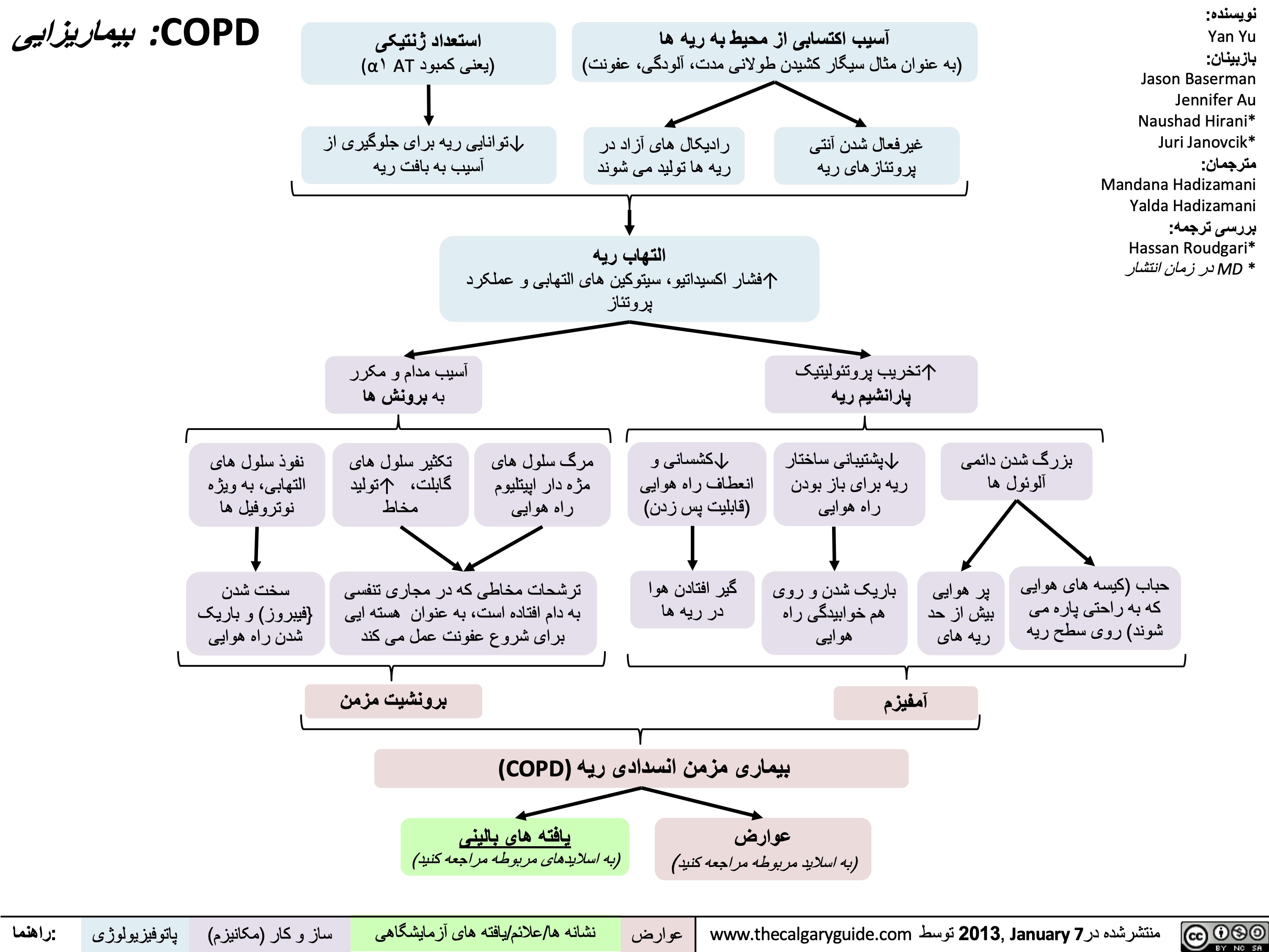 COPD - بیماریزایی