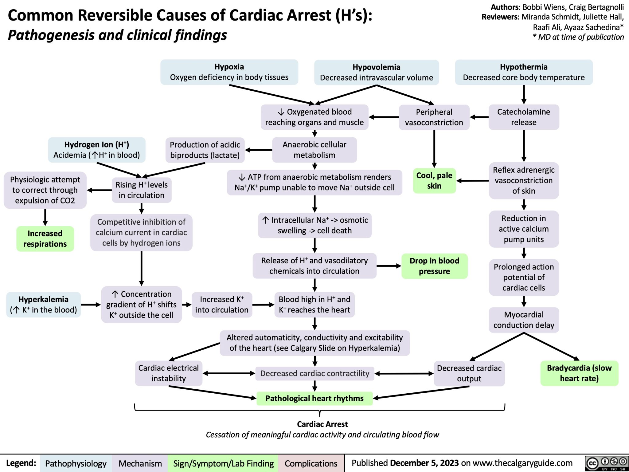 Common Reversible Causes of Cardiac Arrest (H’s) | Calgary Guide