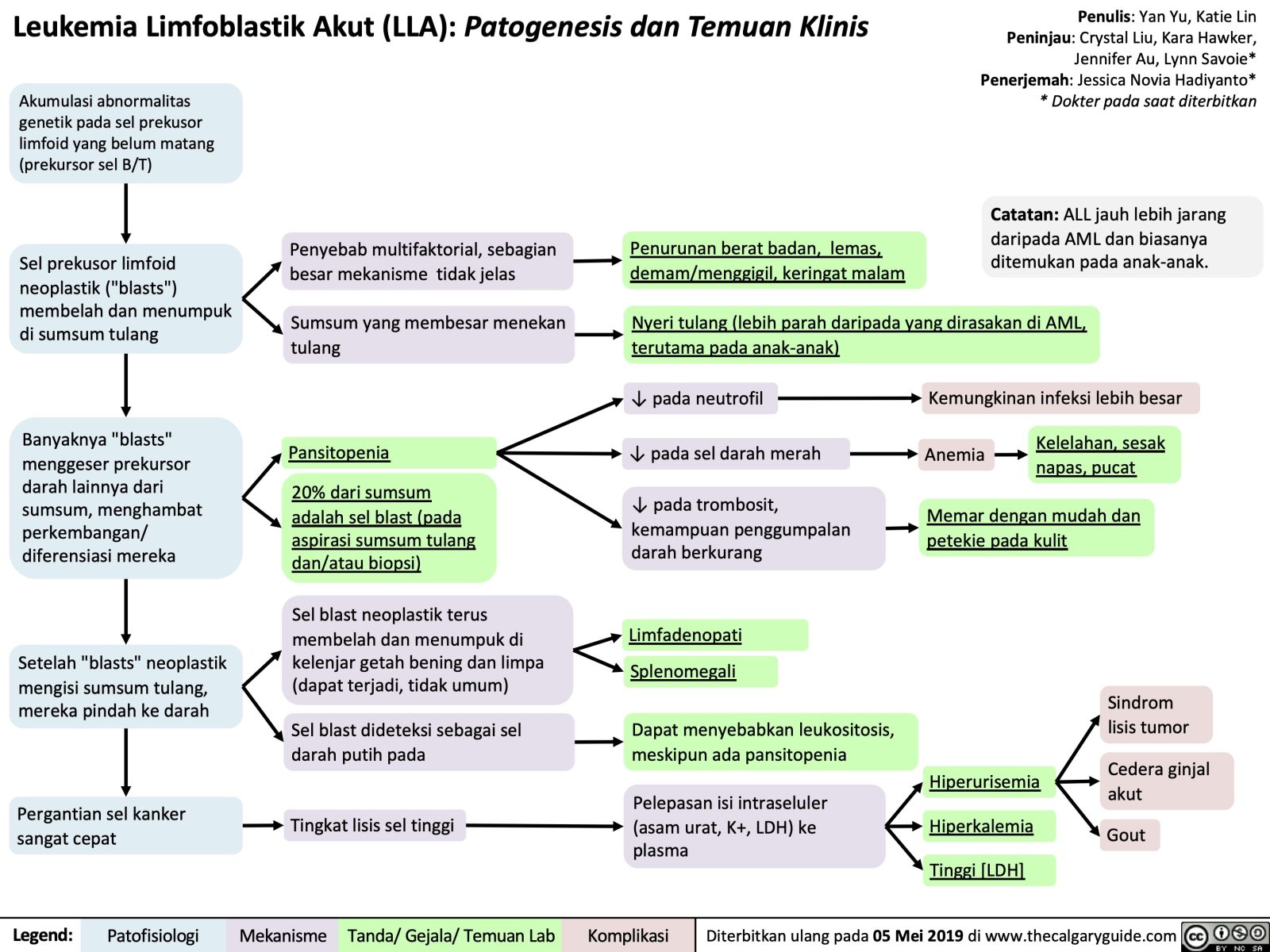 Leukemia Limfoblastik Akut: Patogenesis Dan Temuan Klinis | Calgary Guide