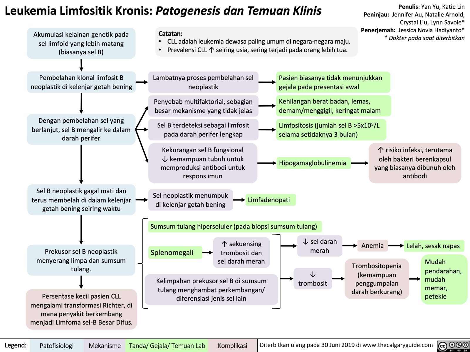 Leukemia Limfositik Kronis: Patogenesis Dan Temuan Klinis | Calgary Guide