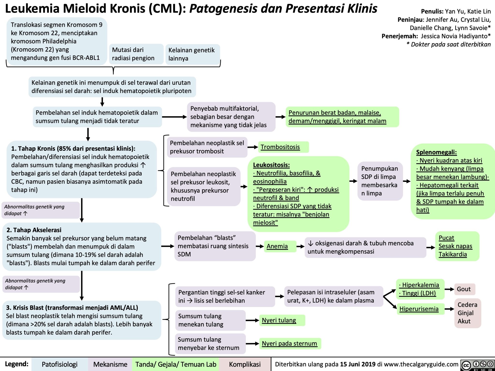 Leukemia Mieloid Kronis Patogenesis Dan Presentasi Klinis Calgary Guide