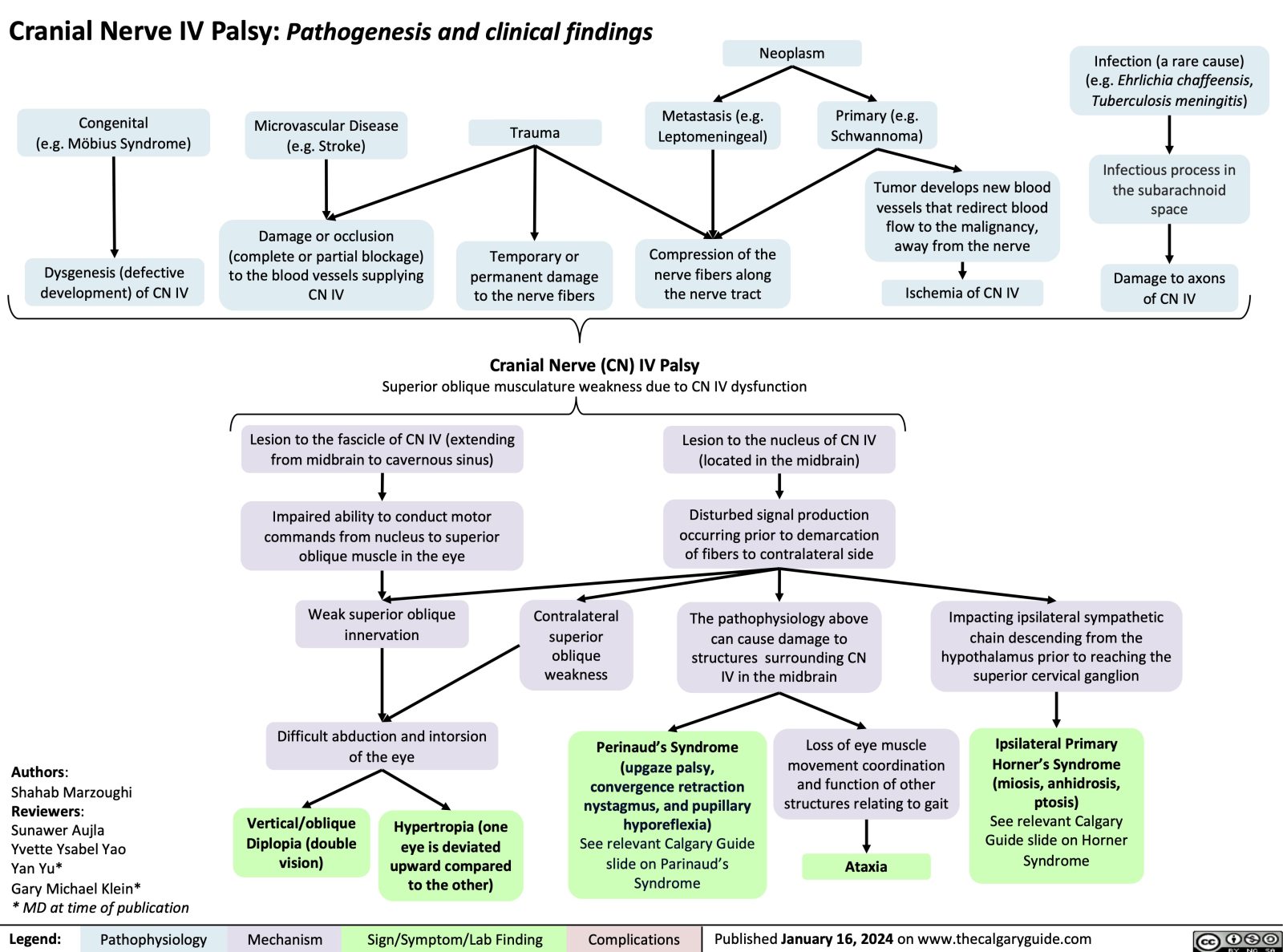 Cranial Nerve IV Palsy | Calgary Guide