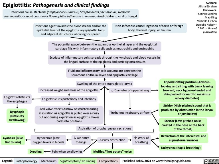 Epiglottitis | Calgary Guide