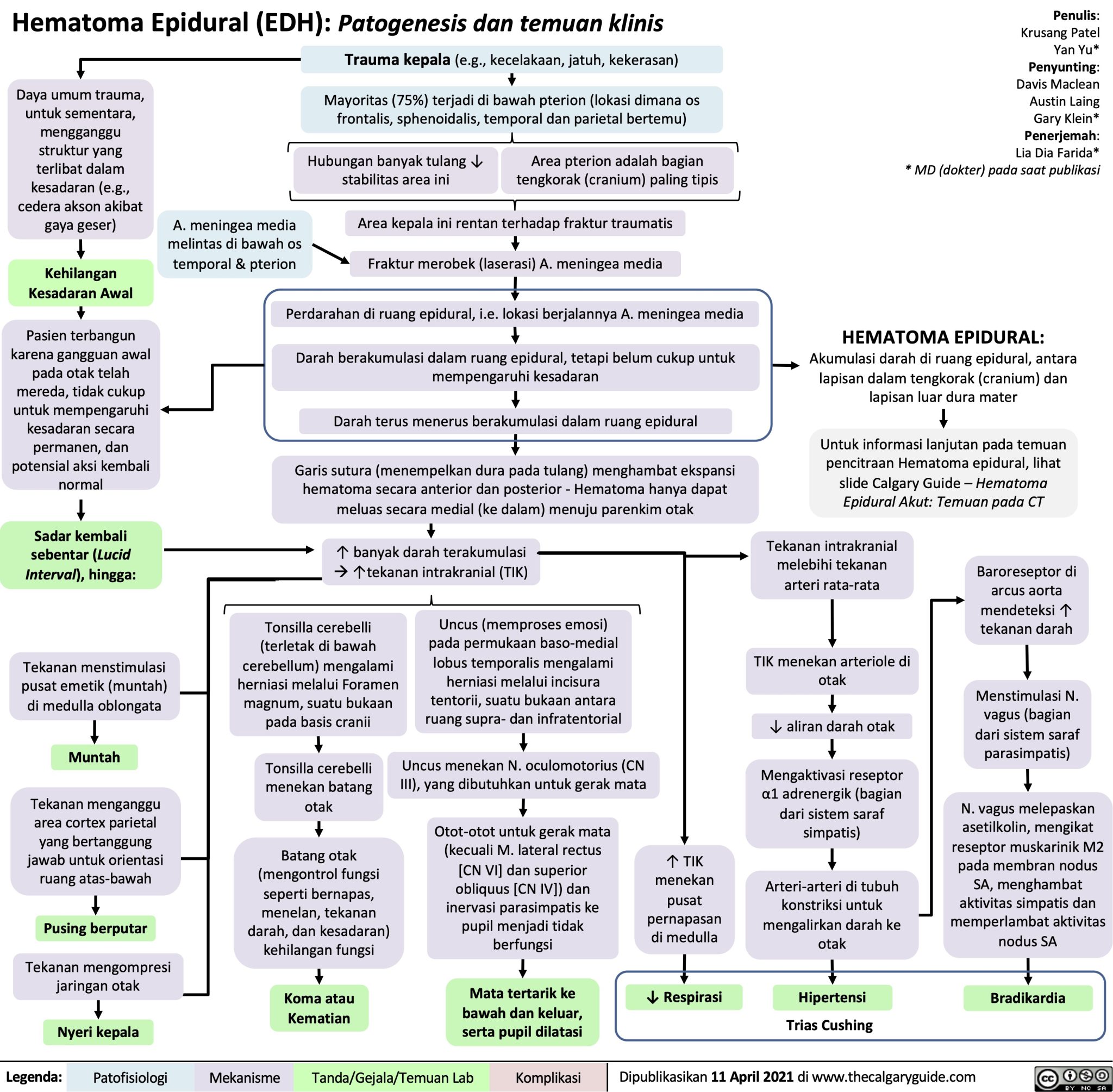 Hematoma Epidural | Calgary Guide