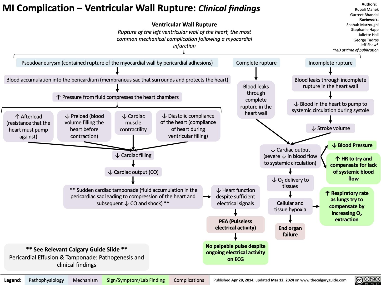 MI Complication: Ventricular Wall Rupture Calgary Guide
