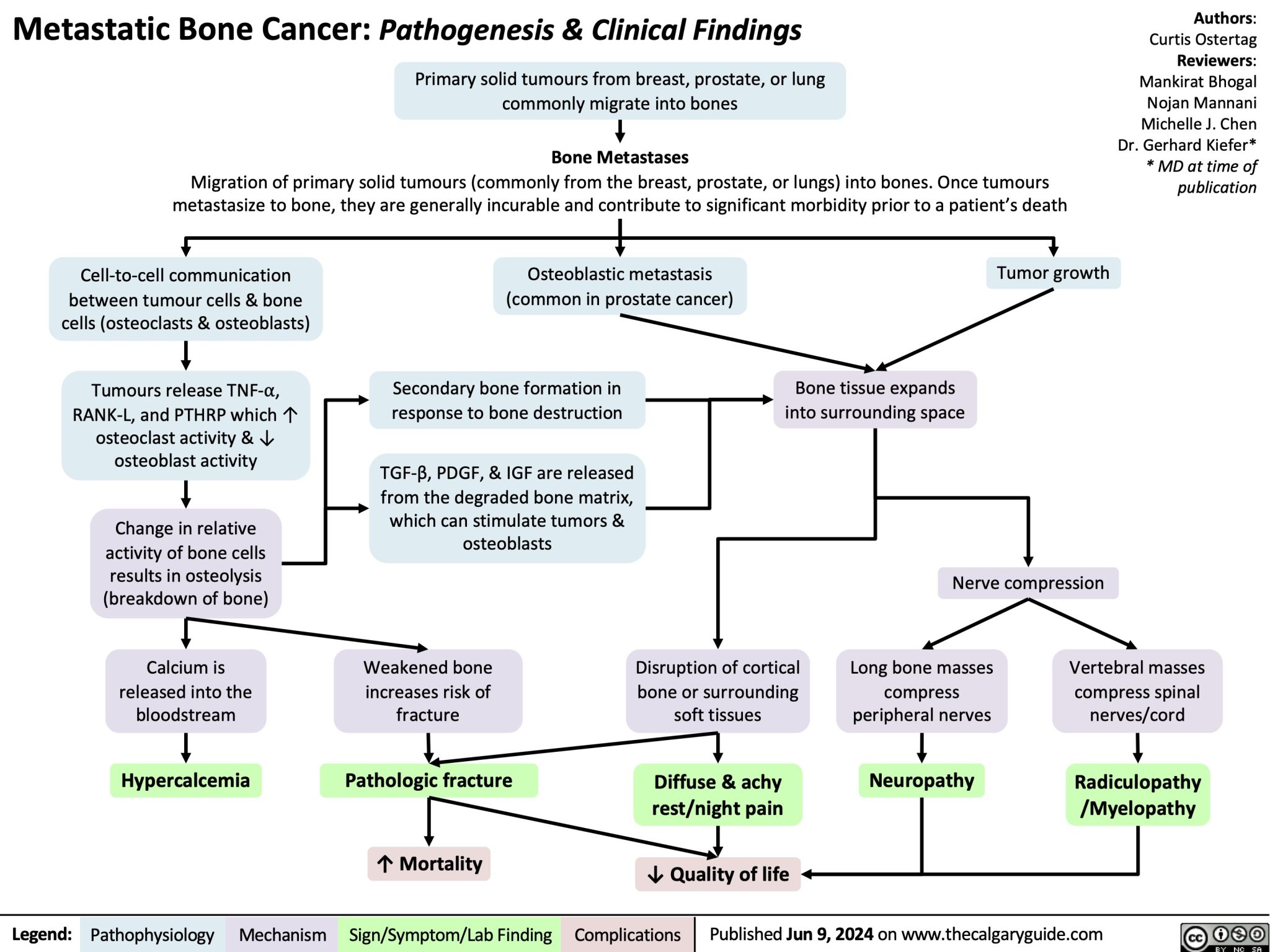 Metastatic Bone Lesions 