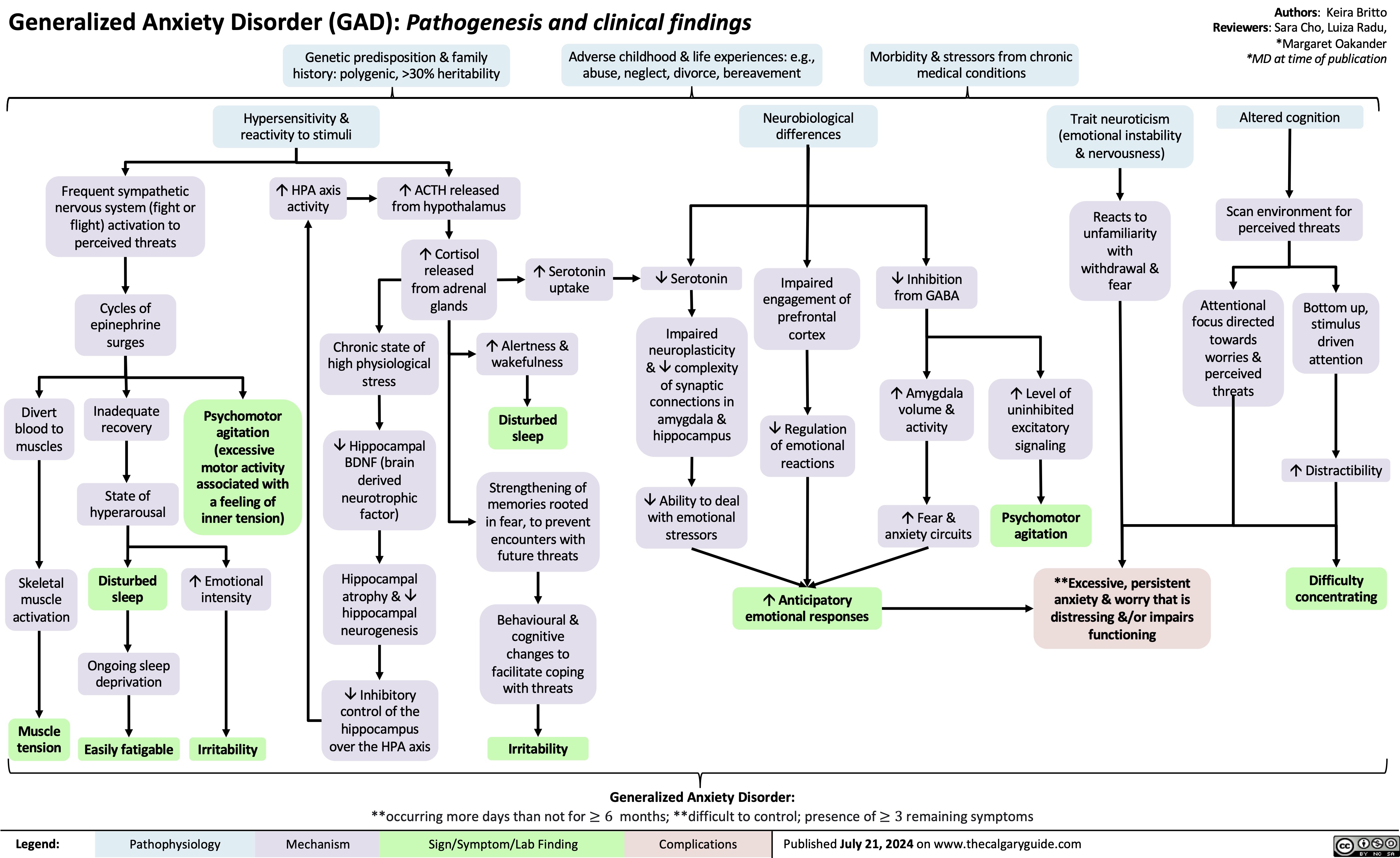 Generalized Anxiety Disorder (GAD): Pathogenesis and clinical findings
Authors: Keira Britto Reviewers: Sara Cho, Luiza Radu, *Margaret Oakander *MD at time of publication
Altered cognition
Scan environment for perceived threats
   Genetic predisposition & family history: polygenic, >30% heritability
Adverse childhood & life experiences: e.g., abuse, neglect, divorce, bereavement
Morbidity & stressors from chronic medical conditions
      Hypersensitivity & reactivity to stimuli
áHPA axis activity
Neurobiological differences
Trait neuroticism (emotional instability & nervousness)
Reacts to unfamiliarity with withdrawal & fear
áLevel of uninhibited excitatory signaling
Psychomotor agitation
       Frequent sympathetic nervous system (fight or flight) activation to perceived threats
Cycles of epinephrine surges
Inadequate recovery
State of hyperarousal
Disturbed sleep
Ongoing sleep deprivation
Easily fatigable
áACTH released from hypothalamus
áCortisol released from adrenal glands
áSerotonin uptake
âSerotonin Impaired
neuroplasticity &âcomplexity of synaptic connections in amygdala & hippocampus
âAbility to deal with emotional stressors
Impaired engagement of prefrontal cortex
âRegulation of emotional reactions
áAnticipatory emotional responses
âInhibition from GABA
áAmygdala volume & activity
áFear & anxiety circuits
Attentional focus directed towards worries & perceived threats
                             Divert blood to muscles
Skeletal muscle activation
Muscle tension
Psychomotor agitation (excessive motor activity associated with a feeling of inner tension)
áEmotional intensity
Chronic state of high physiological stress
âHippocampal BDNF (brain derived neurotrophic factor)
Hippocampal atrophy &â hippocampal neurogenesis
â Inhibitory control of the hippocampus over the HPA axis
áAlertness & wakefulness
Disturbed sleep
Strengthening of memories rooted in fear, to prevent encounters with future threats
Behavioural & cognitive changes to facilitate coping with threats
Irritability
**Excessive, persistent
Bottom up, stimulus driven attention
áDistractibility
Difficulty concentrating
                       anxiety & worry that is distressing &/or impairs functioning
         Irritability
 Generalized Anxiety Disorder:
**occurring more days than not for ≥ 6 months; **difficult to control; presence of ≥ 3 remaining symptoms
 Legend:
 Pathophysiology
 Mechanism
 Sign/Symptom/Lab Finding
 Complications
Published July 21, 2024 on www.thecalgaryguide.com
  