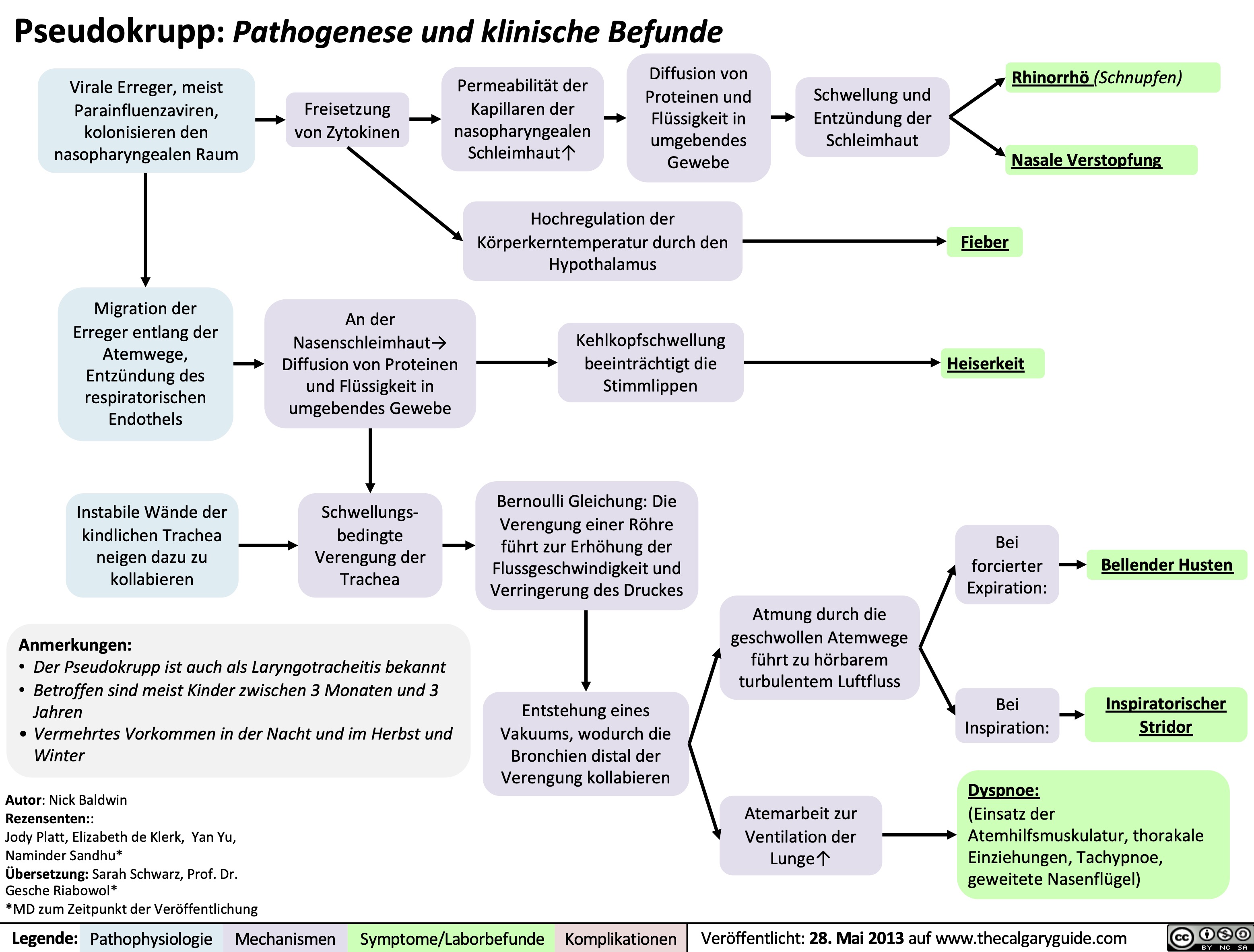 Pseudokrupp: Pathogenese und klinische Befunde