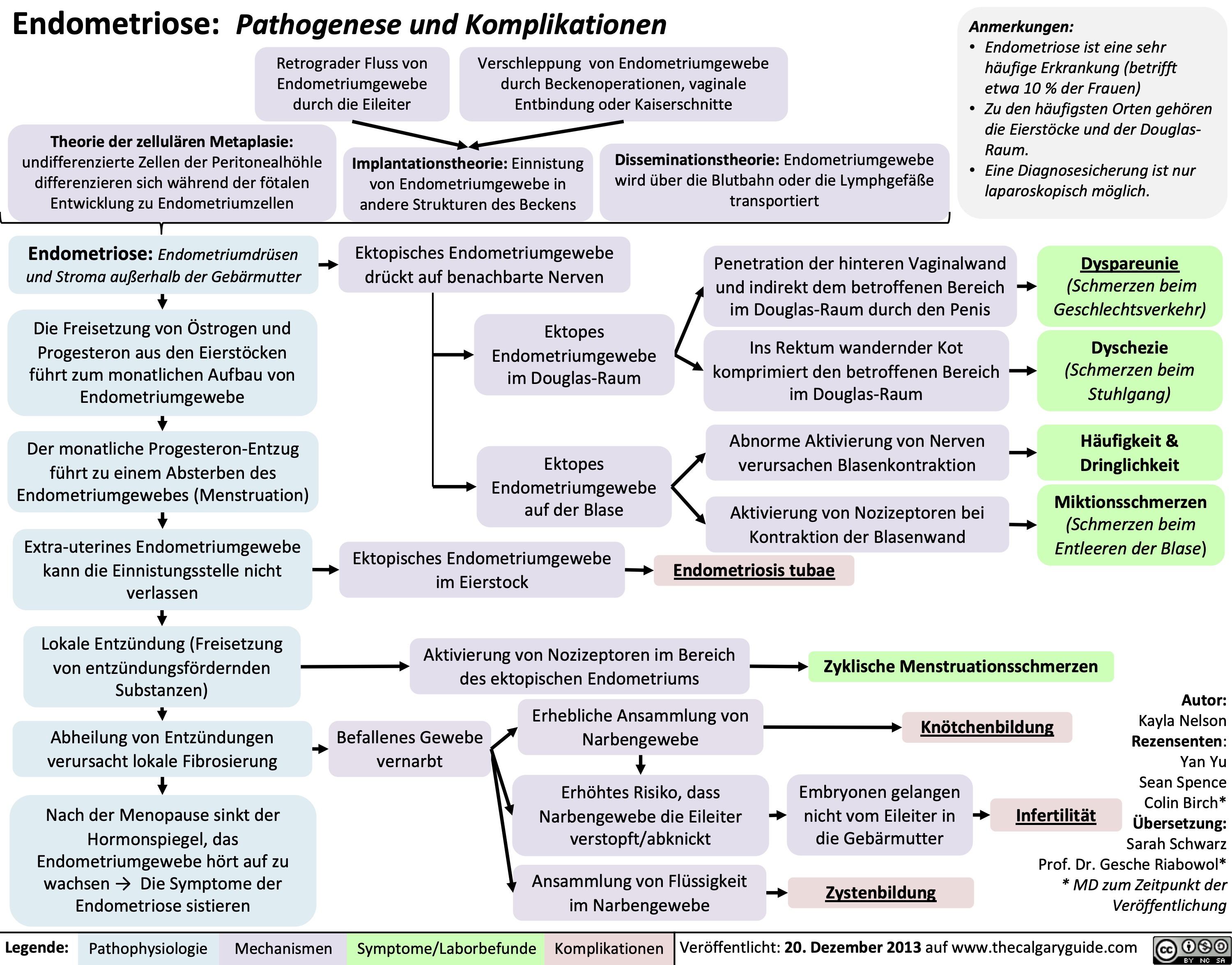 Endometriose: Pathogenese und Komplikationen