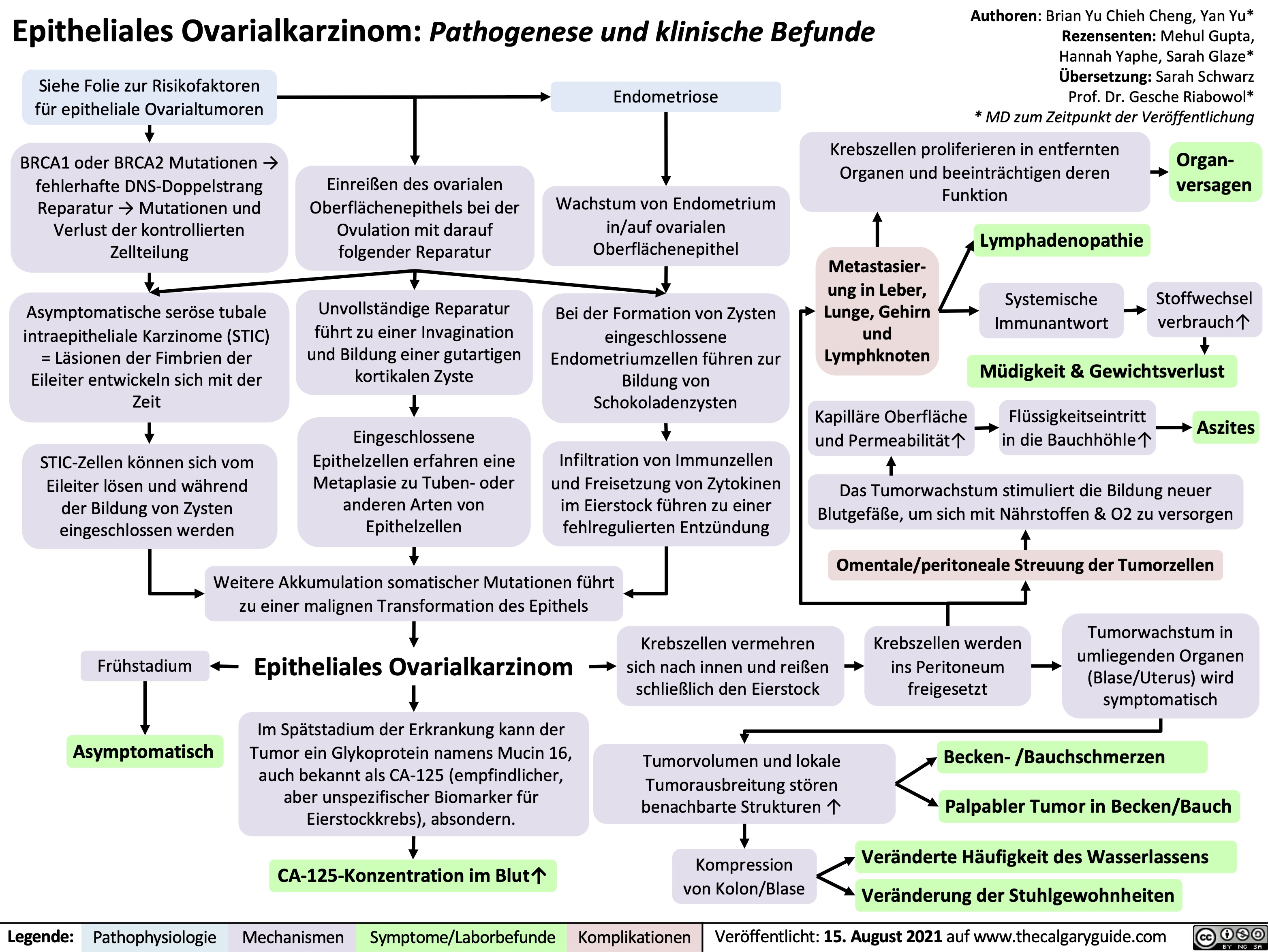 Epitheliales Ovarialkarzinom: Pathogenese und klinische Befunde