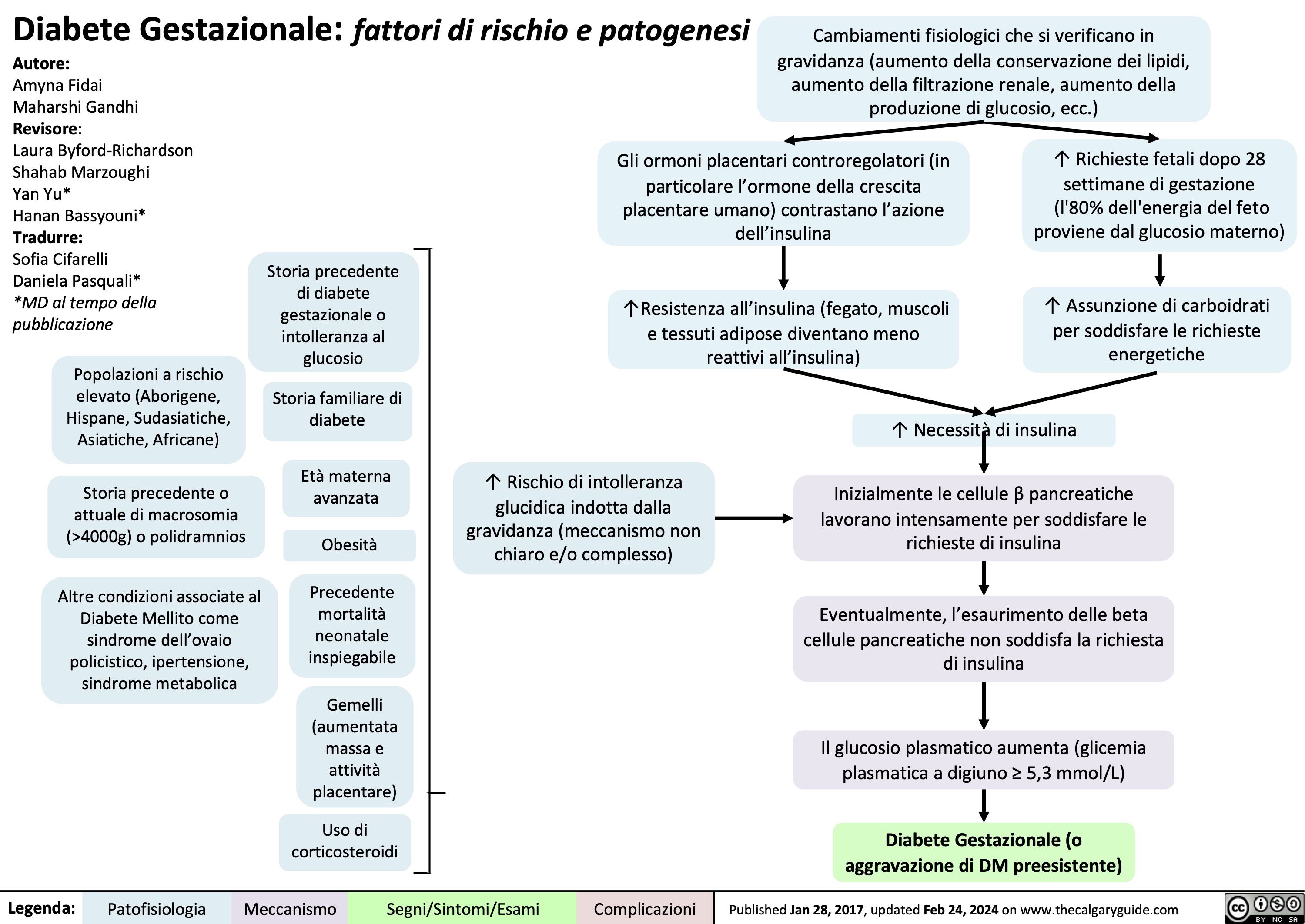 Diabete Gestazionale: fattori di rischio e patogenesi