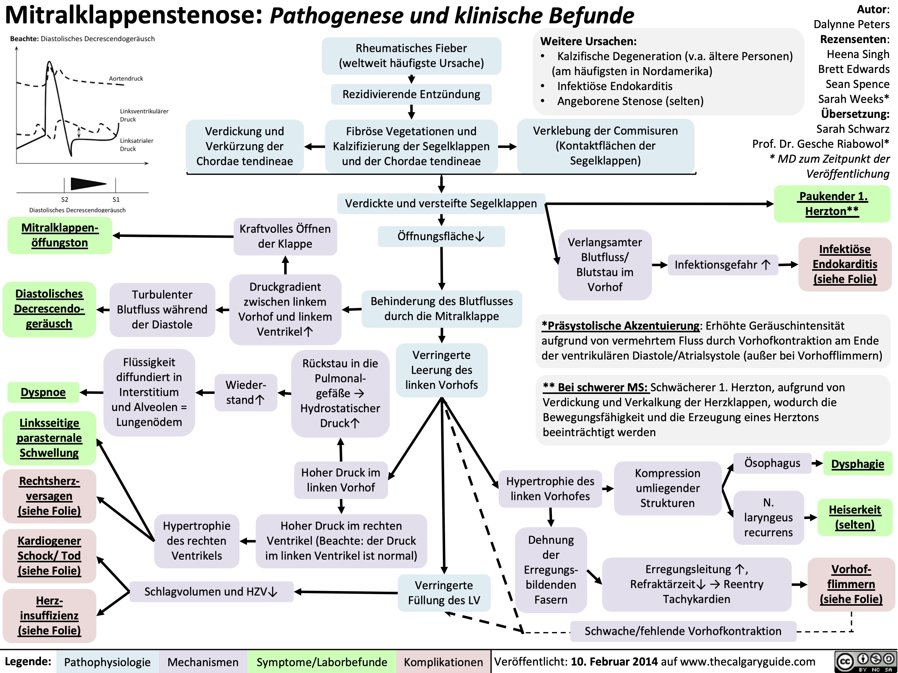 Mitralklappenstenose: Pathogenese und klinische Befunde