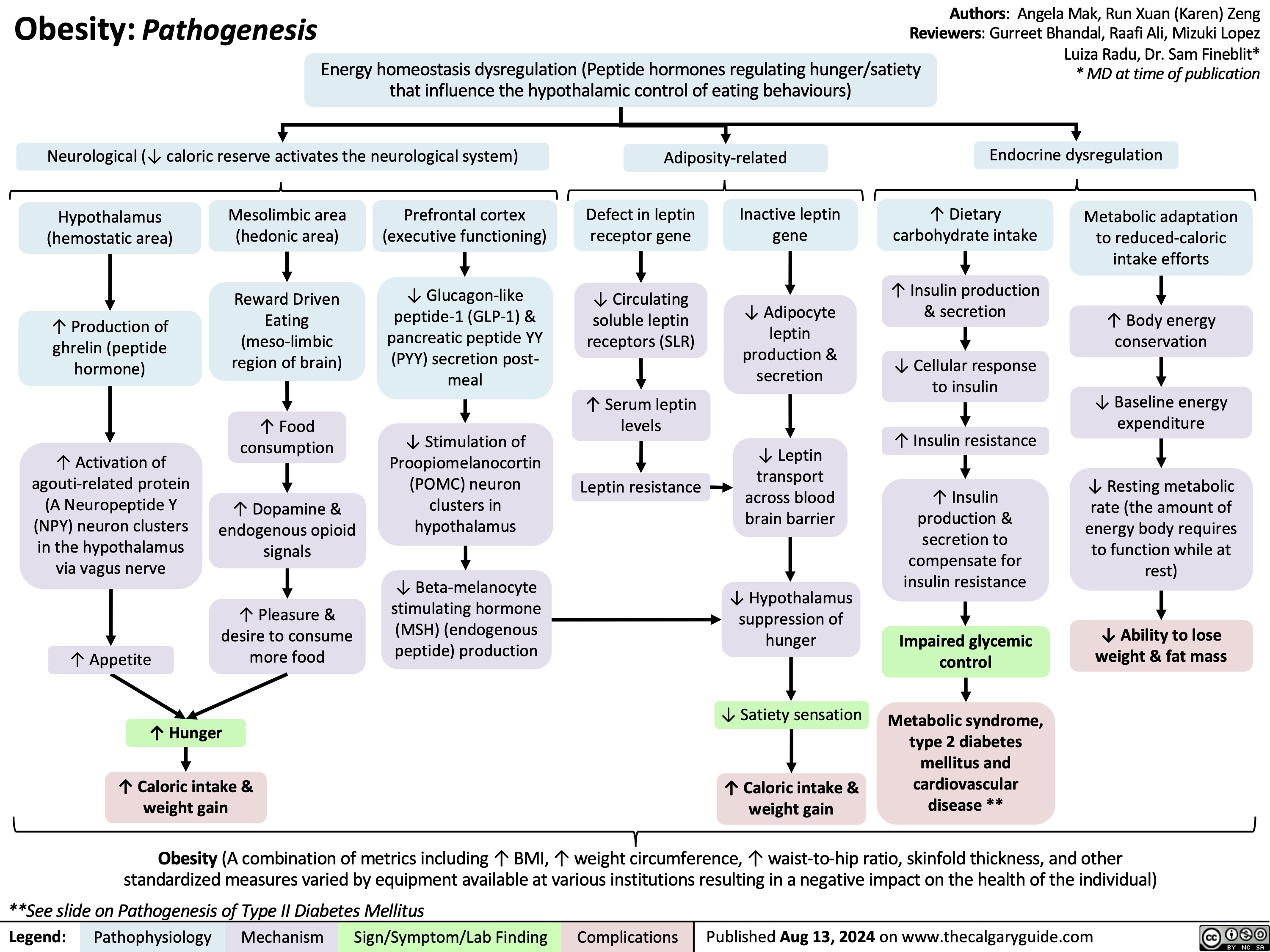 Obesity: Pathogenesis
Authors: Angela Mak, Run Xuan (Karen) Zeng Reviewers: Gurreet Bhandal, Raafi Ali, Mizuki Lopez
 Energy homeostasis dysregulation (Peptide hormones regulating hunger/satiety that influence the hypothalamic control of eating behaviours)
Luiza Radu, Dr. Sam Fineblit*
* MD at time of publication
Endocrine dysregulation
     Neurological (↓ caloric reserve activates the neurological system)
Adiposity-related
          Hypothalamus (hemostatic area)
↑ Production of ghrelin (peptide hormone)
↑ Activation of agouti-related protein (A Neuropeptide Y (NPY) neuron clusters in the hypothalamus via vagus nerve
↑ Appetite
Mesolimbic area (hedonic area)
Reward Driven Eating (meso-limbic region of brain)
↑ Food consumption
↑ Dopamine & endogenous opioid signals
↑ Pleasure & desire to consume more food
Prefrontal cortex (executive functioning)
↓ Glucagon-like peptide-1 (GLP-1) & pancreatic peptide YY (PYY) secretion post- meal
↓ Stimulation of Proopiomelanocortin (POMC) neuron clusters in hypothalamus
↓ Beta-melanocyte stimulating hormone (MSH) (endogenous peptide) production
Defect in leptin receptor gene
↓ Circulating
soluble leptin receptors (SLR)
↑ Serum leptin levels
Leptin resistance
Inactive leptin gene
↓ Adipocyte leptin production & secretion
↓ Leptin
transport across blood brain barrier
↓ Hypothalamus suppression of hunger
↓ Satiety sensation
↑ Caloric intake & weight gain
↑ Dietary carbohydrate intake
↑ Insulin production & secretion
↓ Cellular response to insulin
↑ Insulin resistance
↑ Insulin production & secretion to compensate for insulin resistance
Impaired glycemic control
Metabolic syndrome, type 2 diabetes mellitus and cardiovascular disease **
Metabolic adaptation to reduced-caloric intake efforts
↑ Body energy conservation
↓ Baseline energy expenditure
↓ Resting metabolic rate (the amount of energy body requires to function while at rest)
↓ Ability to lose weight & fat mass
                                  ↑ Hunger
↑ Caloric intake & weight gain
   Obesity (A combination of metrics including ↑ BMI, ↑ weight circumference, ↑ waist-to-hip ratio, skinfold thickness, and other standardized measures varied by equipment available at various institutions resulting in a negative impact on the health of the individual)
**See slide on Pathogenesis of Type II Diabetes Mellitus
 Legend:
 Pathophysiology
Mechanism
Sign/Symptom/Lab Finding
 Complications
 Published Aug 13, 2024 on www.thecalgaryguide.com
   