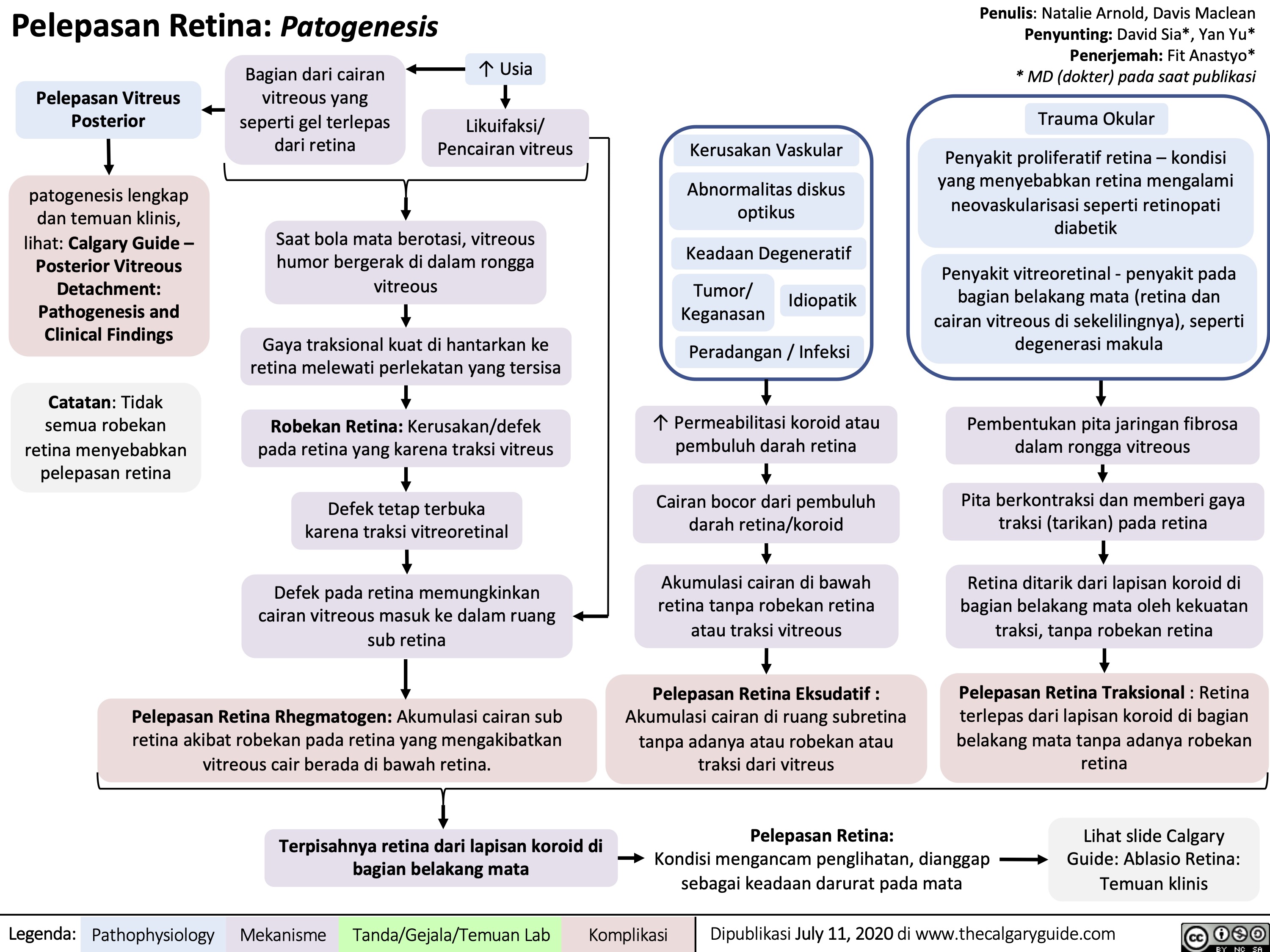 Pelepasan Retina: Patogenesis