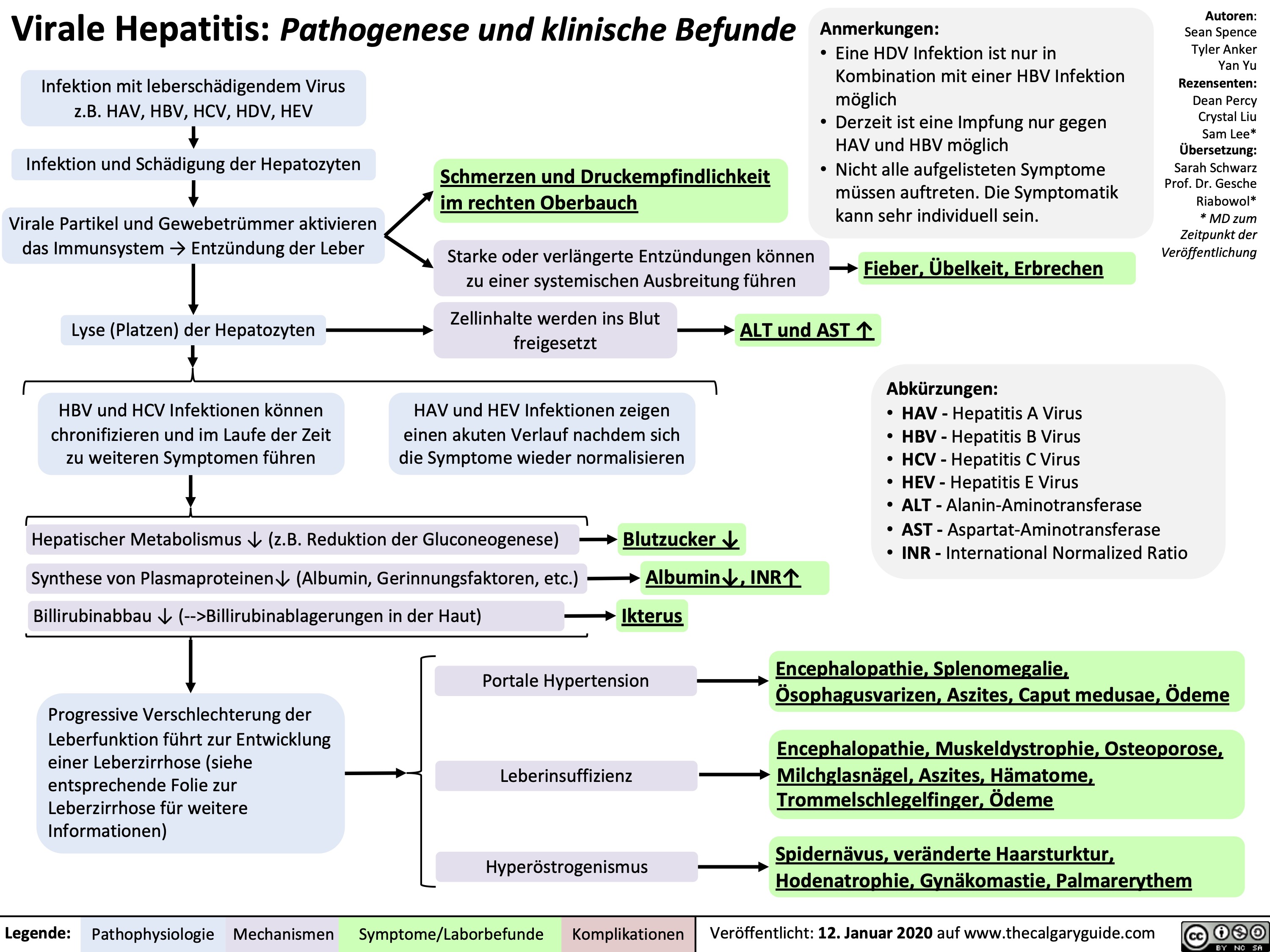 Virale Hepatitis: Pathogenese und klinische Befunde