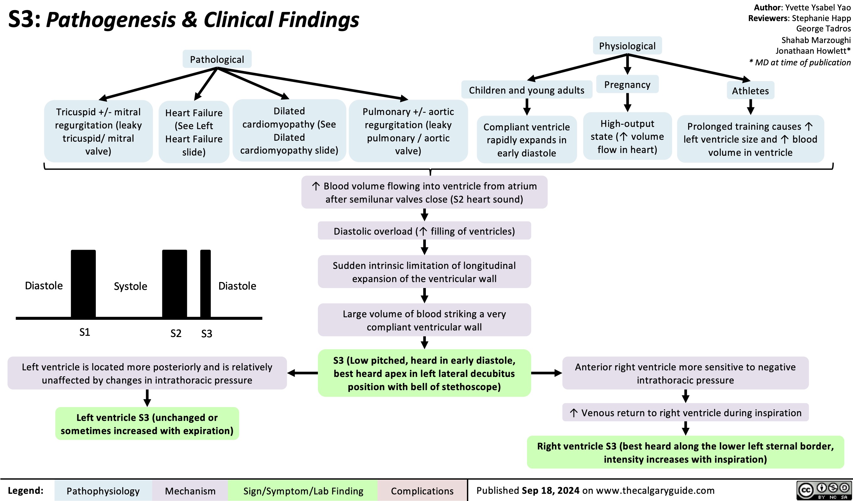 S3: Pathogenesis & Clinical Findings Pathological
Physiological Pregnancy
High-output state (↑ volume flow in heart)
Author: Yvette Ysabel Yao Reviewers: Stephanie Happ George Tadros Shahab Marzoughi Jonathaan Howlett* * MD at time of publication
Athletes
Prolonged training causes ↑ left ventricle size and ↑ blood volume in ventricle
            Tricuspid +/- mitral regurgitation (leaky tricuspid/ mitral valve)
Heart Failure (See Left Heart Failure slide)
Dilated cardiomyopathy (See Dilated cardiomyopathy slide)
Pulmonary +/- aortic regurgitation (leaky pulmonary / aortic valve)
Children and young adults
Compliant ventricle rapidly expands in early diastole
          Diastole
S1
Systole
Diastole
↑ Blood volume flowing into ventricle from atrium after semilunar valves close (S2 heart sound)
Diastolic overload (↑ filling of ventricles)
Sudden intrinsic limitation of longitudinal expansion of the ventricular wall
Large volume of blood striking a very compliant ventricular wall
S3 (Low pitched, heard in early diastole, best heard apex in left lateral decubitus position with bell of stethoscope)
  S2 S3
   Left ventricle is located more posteriorly and is relatively unaffected by changes in intrathoracic pressure
Left ventricle S3 (unchanged or sometimes increased with expiration)
Anterior right ventricle more sensitive to negative intrathoracic pressure
↑ Venous return to right ventricle during inspiration
Right ventricle S3 (best heard along the lower left sternal border, intensity increases with inspiration)
    Legend:
 Pathophysiology
 Mechanism
 Sign/Symptom/Lab Finding
 Complications
 Published Sep 18, 2024 on www.thecalgaryguide.com
 