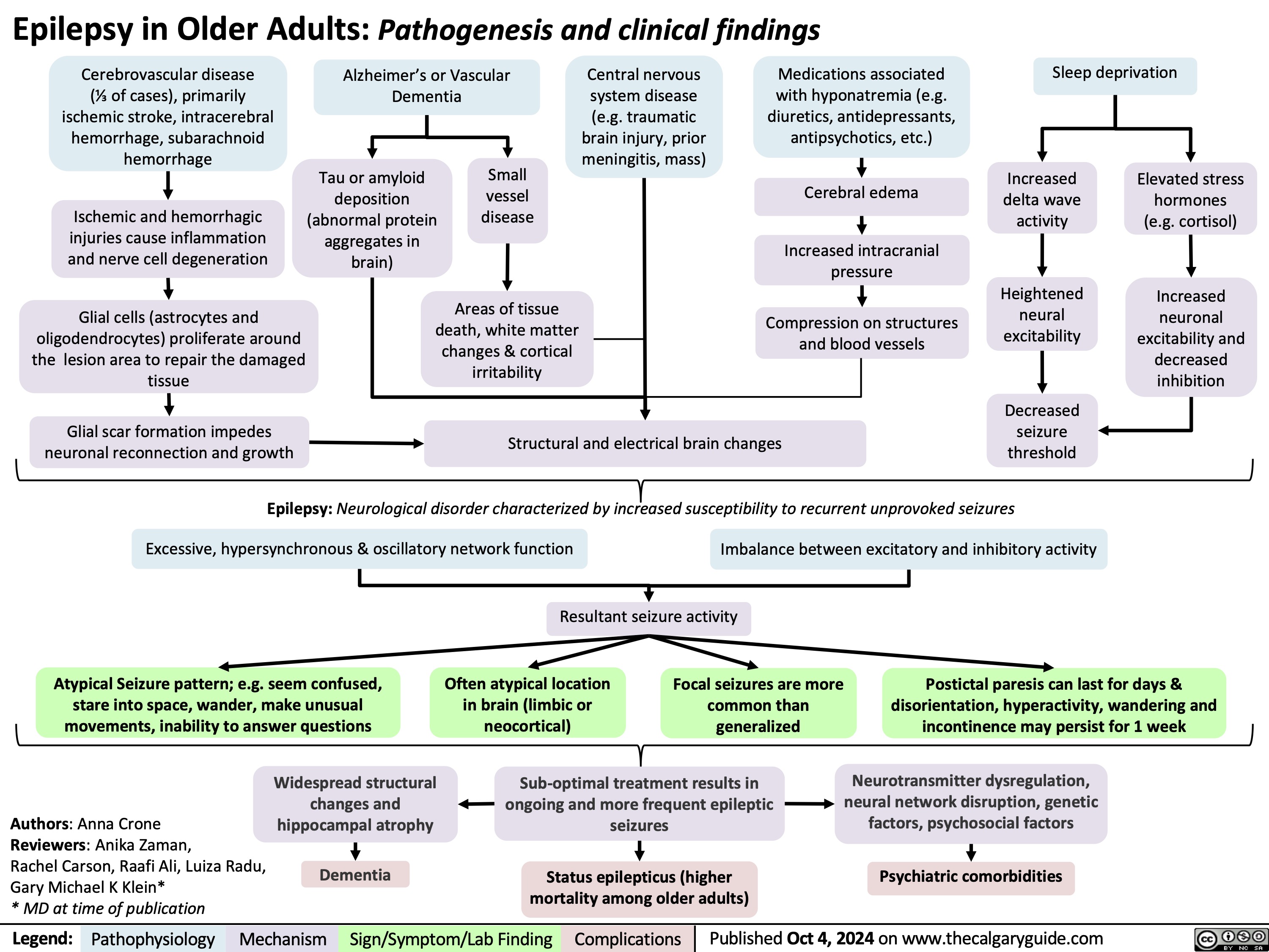 Epilepsy in Older Adults: Pathogenesis and clinical findings
     Cerebrovascular disease (1⁄3 of cases), primarily ischemic stroke, intracerebral hemorrhage, subarachnoid hemorrhage
Ischemic and hemorrhagic injuries cause inflammation and nerve cell degeneration
Glial cells (astrocytes and oligodendrocytes) proliferate around the lesion area to repair the damaged tissue
Glial scar formation impedes neuronal reconnection and growth
Alzheimer’s or Vascular Dementia
Central nervous system disease (e.g. traumatic brain injury, prior meningitis, mass)
Medications associated with hyponatremia (e.g. diuretics, antidepressants, antipsychotics, etc.)
Cerebral edema
Increased intracranial pressure
Compression on structures and blood vessels
Sleep deprivation
      Tau or amyloid deposition (abnormal protein aggregates in brain)
Small vessel disease
Increased delta wave activity
Heightened neural excitability
Decreased seizure threshold
Elevated stress hormones (e.g. cortisol)
Increased neuronal excitability and decreased inhibition
        Areas of tissue death, white matter changes & cortical irritability
       Structural and electrical brain changes
  Epilepsy: Neurological disorder characterized by increased susceptibility to recurrent unprovoked seizures
Excessive, hypersynchronous & oscillatory network function Imbalance between excitatory and inhibitory activity
     Resultant seizure activity
        Atypical Seizure pattern; e.g. seem confused, stare into space, wander, make unusual movements, inability to answer questions
Often atypical location in brain (limbic or neocortical)
Focal seizures are more common than generalized
Postictal paresis can last for days & disorientation, hyperactivity, wandering and incontinence may persist for 1 week
Neurotransmitter dysregulation, neural network disruption, genetic factors, psychosocial factors
Psychiatric comorbidities
    Authors: Anna Crone
Reviewers: Anika Zaman,
Rachel Carson, Raafi Ali, Luiza Radu, Gary Michael K Klein*
* MD at time of publication
Widespread structural changes and hippocampal atrophy
Dementia
Sub-optimal treatment results in ongoing and more frequent epileptic seizures
Status epilepticus (higher mortality among older adults)
    Legend:
 Pathophysiology
Mechanism
 Sign/Symptom/Lab Finding
 Complications
Published Oct 4, 2024 on www.thecalgaryguide.com
   