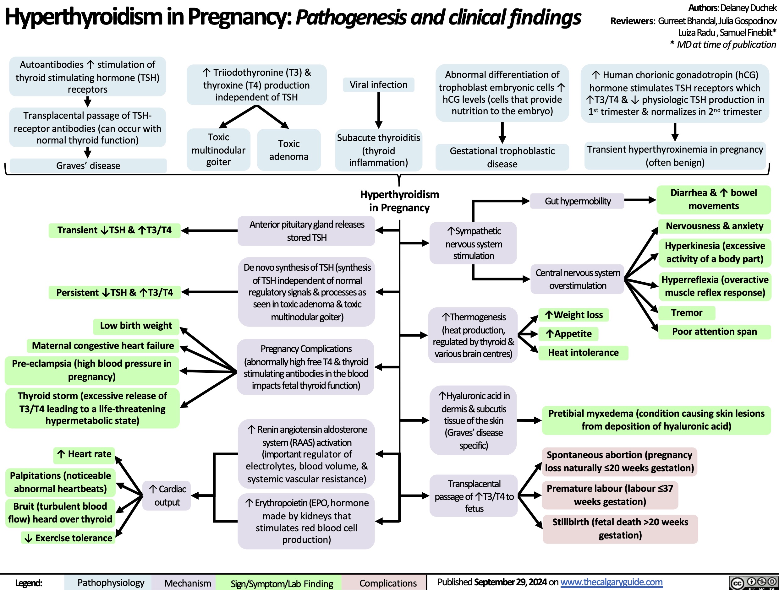 Hyperthyroidism in Pregnancy: Pathogenesis and clinical findings
Authors: Delaney Duchek Reviewers: GurreetBhandal,JuliaGospodinov Luiza Radu , Samuel Fineblit* * MD at time of publication
↑ Human chorionic gonadotropin (hCG) hormone stimulates TSH receptors which ↑T3/T4 & ↓ physiologic TSH production in 1st trimester & normalizes in 2nd trimester
Transient hyperthyroxinemia in pregnancy (often benign)
 Autoantibodies ↑ stimulation of thyroid stimulating hormone (TSH) receptors
Transplacental passage of TSH- receptor antibodies (can occur with normal thyroid function)
Graves’ disease
Transient ↓TSH & ↑T3/T4
Persistent ↓TSH & ↑T3/T4
Low birth weight Maternal congestive heart failure Pre-eclampsia (high blood pressure in
pregnancy)
Thyroid storm (excessive release of T3/T4 leading to a life-threatening hypermetabolic state)
↑ Triiodothyronine (T3) & thyroxine (T4) production independent of TSH
Abnormal differentiation of trophoblast embryonic cells ↑ hCG levels (cells that provide nutrition to the embryo)
Gestational trophoblastic disease
         Toxic multinodular goiter
Toxic adenoma
Viral infection
Subacute thyroiditis (thyroid inflammation)
Hyperthyroidism in Pregnancy
        Anterior pituitary gland releases stored TSH
↑Sympathetic nervous system stimulation
↑Thermogenesis
(heat production, regulated by thyroid & variousbraincentres)
↑Hyaluronic acid in dermis & subcutis tissue of the skin (Graves’ disease specific)
Transplacental passage of ↑T3/T4 to fetus
Gut hypermobility
Central nervous system overstimulation
↑Weight loss ↑Appetite
Heat intolerance
Diarrhea & ↑ bowel movements
Nervousness & anxiety
Hyperkinesia (excessive activity of a body part)
Hyperreflexia (overactive muscle reflex response)
Tremor
Poor attention span
                            ↑ Heart rate
Palpitations (noticeable abnormal heartbeats)
Bruit (turbulent blood flow) heard over thyroid
↓ Exercise tolerance
↑ Cardiac output
De novo synthesis of TSH (synthesis of TSH independent of normal regulatory signals & processes as seen in toxic adenoma & toxic multinodular goiter)
Pregnancy Complications (abnormallyhighfreeT4&thyroid stimulating antibodies in the blood impacts fetal thyroid function)
↑ Renin angiotensin aldosterone system (RAAS) activation (important regulator of electrolytes, blood volume, & systemic vascular resistance)
↑ Erythropoietin (EPO, hormone made by kidneys that
stimulates red blood cell production)
Pretibial myxedema (condition causing skin lesions from deposition of hyaluronic acid)
Spontaneous abortion (pregnancy loss naturally ≤20 weeks gestation)
Premature labour (labour ≤37 weeks gestation)
Stillbirth (fetal death >20 weeks gestation)
               Legend:
 Pathophysiology
 Mechanism
 Sign/Symptom/Lab Finding
 Complications
Published September 29, 2024 on www.thecalgaryguide.com
   