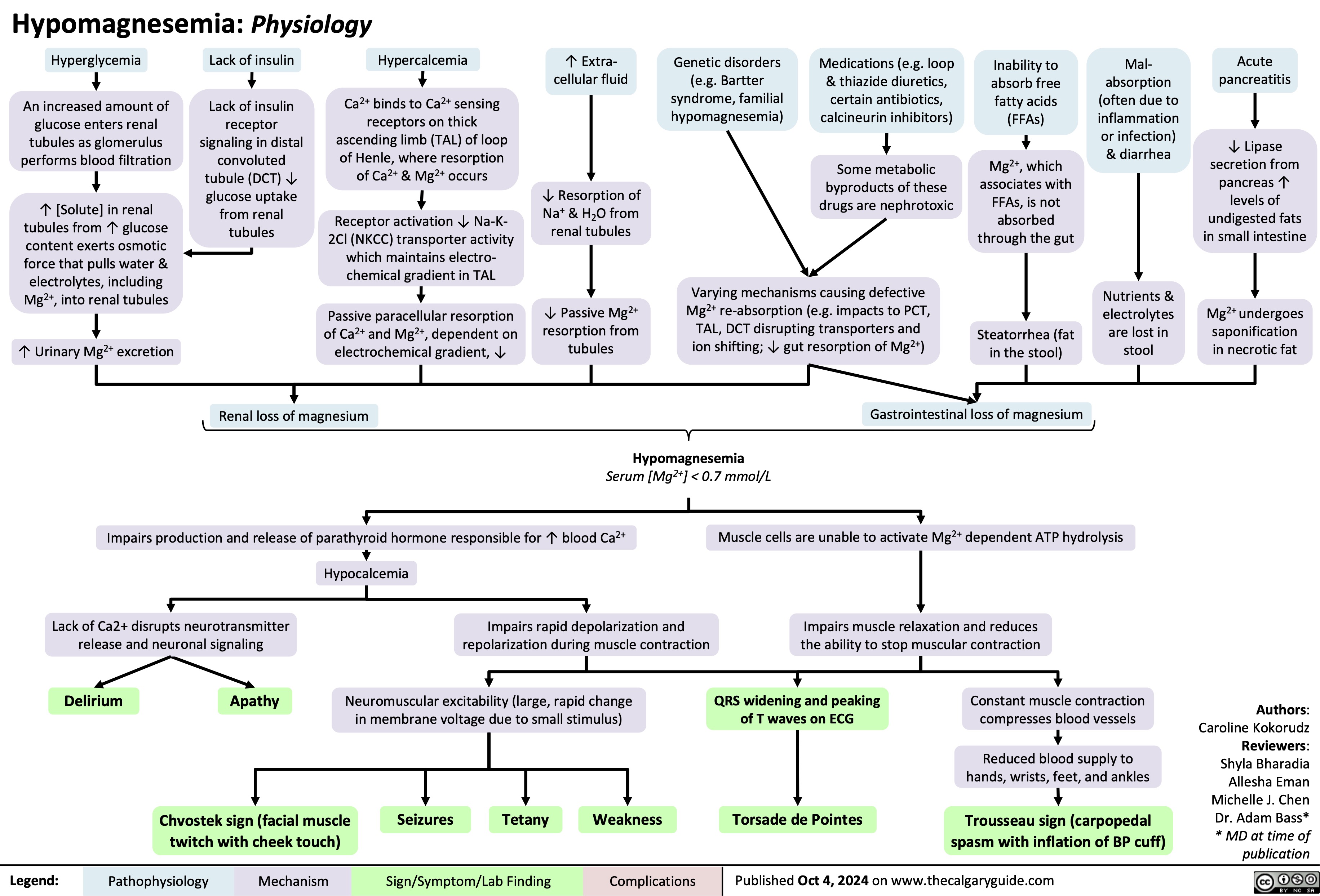 Hypomagnesemia: Physiology
         Hyperglycemia
An increased amount of glucose enters renal tubules as glomerulus performs blood filtration
↑ [Solute] in renal tubules from ↑ glucose content exerts osmotic force that pulls water & electrolytes, including Mg2+, into renal tubules
↑ Urinary Mg2+ excretion
Lack of insulin
Lack of insulin receptor signaling in distal convoluted tubule (DCT) ↓ glucose uptake from renal tubules
Hypercalcemia
Ca2+ binds to Ca2+ sensing receptors on thick ascending limb (TAL) of loop of Henle, where resorption of Ca2+ & Mg2+ occurs
Receptor activation ↓ Na-K- 2Cl (NKCC) transporter activity which maintains electro- chemical gradient in TAL
Passive paracellular resorption of Ca2+ and Mg2+, dependent on electrochemical gradient, ↓
↑ Extra- cellular fluid
↓ Resorption of Na+ & H2O from renal tubules
Genetic disorders (e.g. Bartter syndrome, familial hypomagnesemia)
Medications (e.g. loop & thiazide diuretics, certain antibiotics, calcineurin inhibitors)
Some metabolic byproducts of these drugs are nephrotoxic
Inability to absorb free fatty acids (FFAs)
Mg2+, which associates with FFAs, is not absorbed through the gut
Steatorrhea (fat in the stool)
Mal- absorption (often due to inflammation or infection) & diarrhea
Acute pancreatitis
↓ Lipase secretion from pancreas ↑ levels of undigested fats in small intestine
                     ↓ Passive Mg resorption from
tubules
Mg saponification in necrotic fat
2+
Varying mechanisms causing defective Mg2+ re-absorption (e.g. impacts to PCT, TAL, DCT disrupting transporters and ion shifting; ↓ gut resorption of Mg2+)
Nutrients & 2+
 electrolytes are lost in stool
undergoes
        Renal loss of magnesium
Gastrointestinal loss of magnesium
 Hypomagnesemia
Serum [Mg2+] < 0.7 mmol/L
   Impairs production and release of parathyroid hormone responsible for ↑ blood Ca2+ Hypocalcemia
Muscle cells are unable to activate Mg2+ dependent ATP hydrolysis
Impairs muscle relaxation and reduces the ability to stop muscular contraction
      Lack of Ca2+ disrupts neurotransmitter release and neuronal signaling
Impairs rapid depolarization and repolarization during muscle contraction
Neuromuscular excitability (large, rapid change in membrane voltage due to small stimulus)
          Delirium
Apathy
QRS widening and peaking of T waves on ECG
Torsade de Pointes
Constant muscle contraction compresses blood vessels
Reduced blood supply to hands, wrists, feet, and ankles
Trousseau sign (carpopedal spasm with inflation of BP cuff)
Authors: Caroline Kokorudz Reviewers: Shyla Bharadia Allesha Eman Michelle J. Chen Dr. Adam Bass* * MD at time of publication
         Chvostek sign (facial muscle twitch with cheek touch)
Seizures
Tetany
Weakness
 Legend:
 Pathophysiology
 Mechanism
 Sign/Symptom/Lab Finding
 Complications
Published Oct 4, 2024 on www.thecalgaryguide.com
  