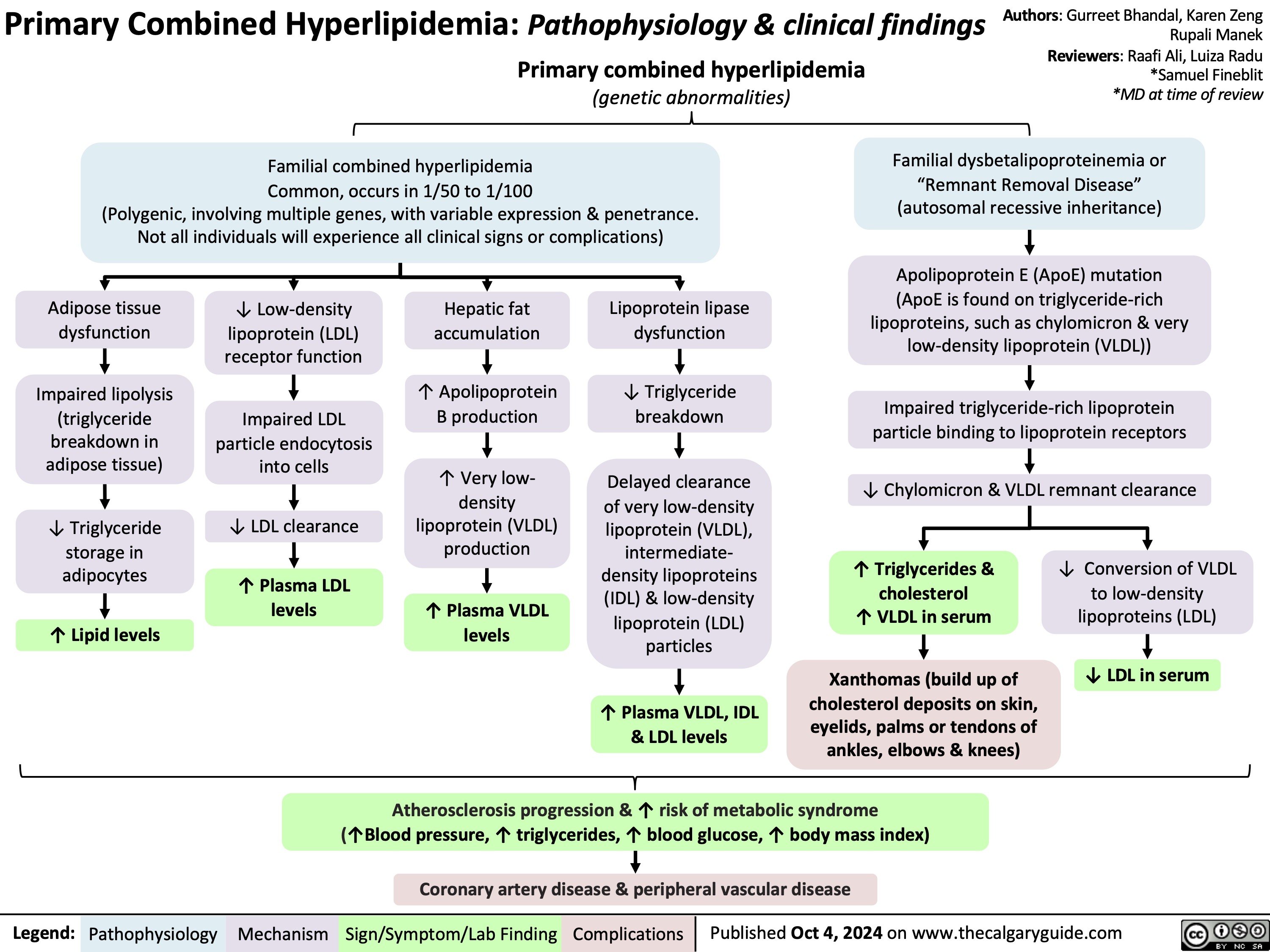 PrimaryCombinedHyperlipidemia:Pathophysiology&clinicalfindings Authors:GurreetBhandal,KarenZeng Rupali Manek
Primary combined hyperlipidemia
(genetic abnormalities)
Reviewers: Raafi Ali, Luiza Radu *Samuel Fineblit *MD at time of review
Familial dysbetalipoproteinemia or “Remnant Removal Disease” (autosomal recessive inheritance)
Apolipoprotein E (ApoE) mutation
(ApoE is found on triglyceride-rich lipoproteins, such as chylomicron & very low-density lipoprotein (VLDL))
Impaired triglyceride-rich lipoprotein particle binding to lipoprotein receptors
↓ Chylomicron & VLDL remnant clearance
   Familial combined hyperlipidemia
Common, occurs in 1/50 to 1/100
(Polygenic, involving multiple genes, with variable expression & penetrance. Not all individuals will experience all clinical signs or complications)
       Adipose tissue dysfunction
Impaired lipolysis (triglyceride breakdown in adipose tissue)
↓ Triglyceride storage in adipocytes
↑ Lipid levels
↓ Low-density lipoprotein (LDL) receptor function
Impaired LDL particle endocytosis into cells
↓ LDL clearance
↑ Plasma LDL levels
Hepatic fat accumulation
↑ Apolipoprotein B production
↑ Very low- density lipoprotein (VLDL) production
↑ Plasma VLDL levels
Lipoprotein lipase dysfunction
↓ Triglyceride breakdown
Delayed clearance of very low-density lipoprotein (VLDL), intermediate- density lipoproteins (IDL) & low-density lipoprotein (LDL) particles
↑ Plasma VLDL, IDL & LDL levels
↑ Triglycerides & cholesterol
↑ VLDL in serum
Xanthomas (build up of cholesterol deposits on skin, eyelids, palms or tendons of ankles, elbows & knees)
↓ Conversion of VLDL to low-density lipoproteins (LDL)
↓ LDL in serum
                     Atherosclerosis progression & ↑ risk of metabolic syndrome (↑Blood pressure, ↑ triglycerides, ↑ blood glucose, ↑ body mass index)
 Coronary artery disease & peripheral vascular disease
 Legend:
 Pathophysiology
Mechanism
Sign/Symptom/Lab Finding
 Complications
 Published Oct 4, 2024 on www.thecalgaryguide.com
   