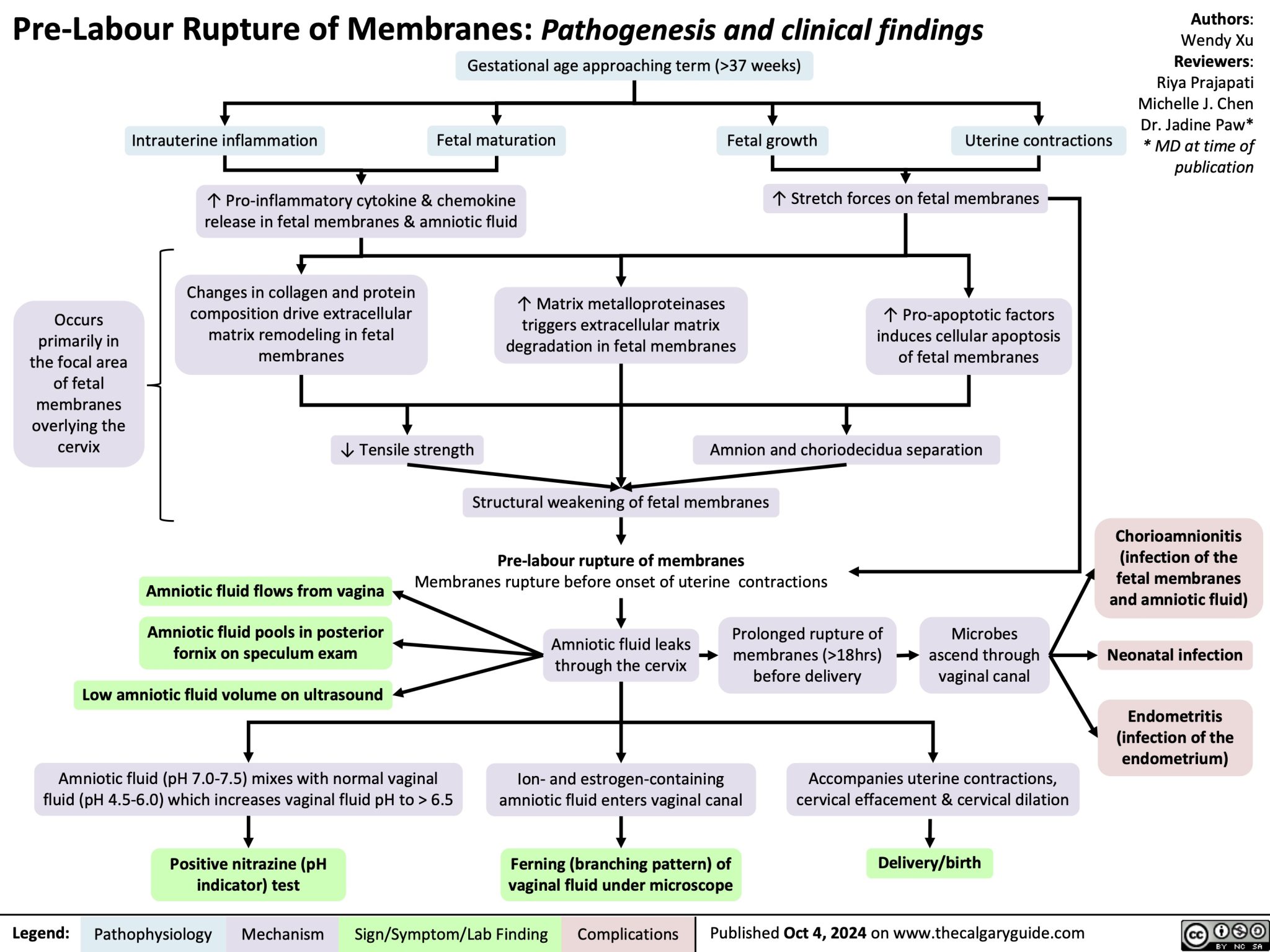 spontaneous rupture of membranes pathophysiology