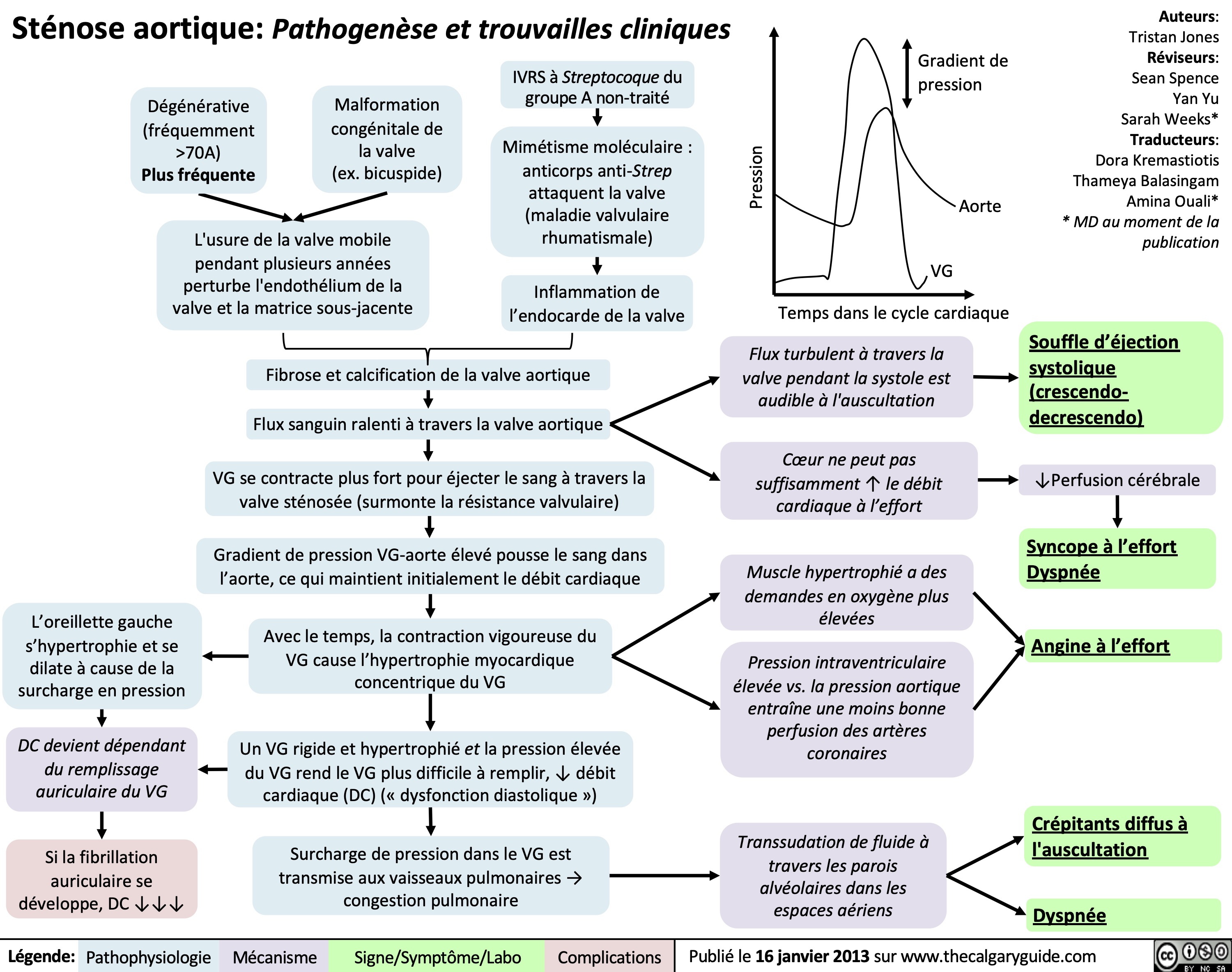 Sténose aortique: Pathogenèse et trouvailles cliniques