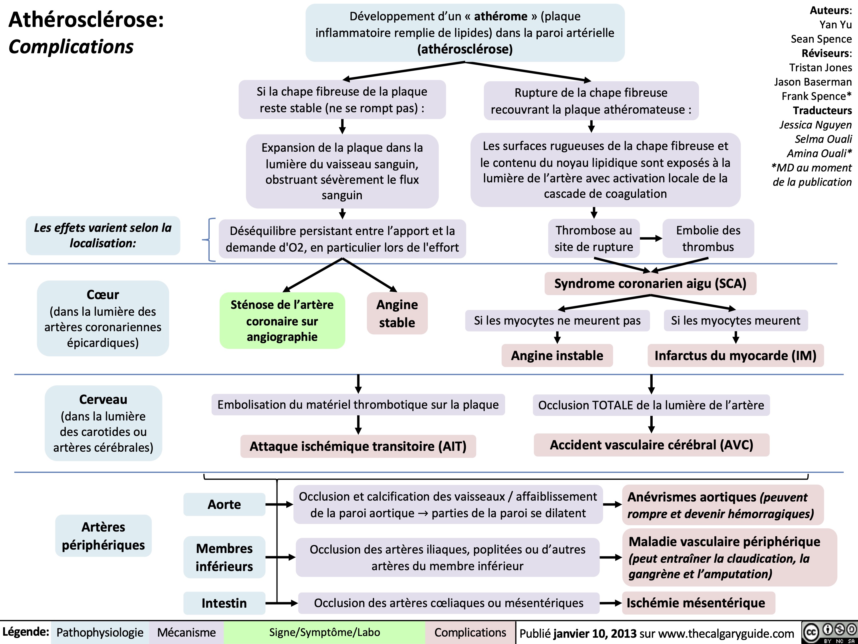 Athérosclérose:
Complications