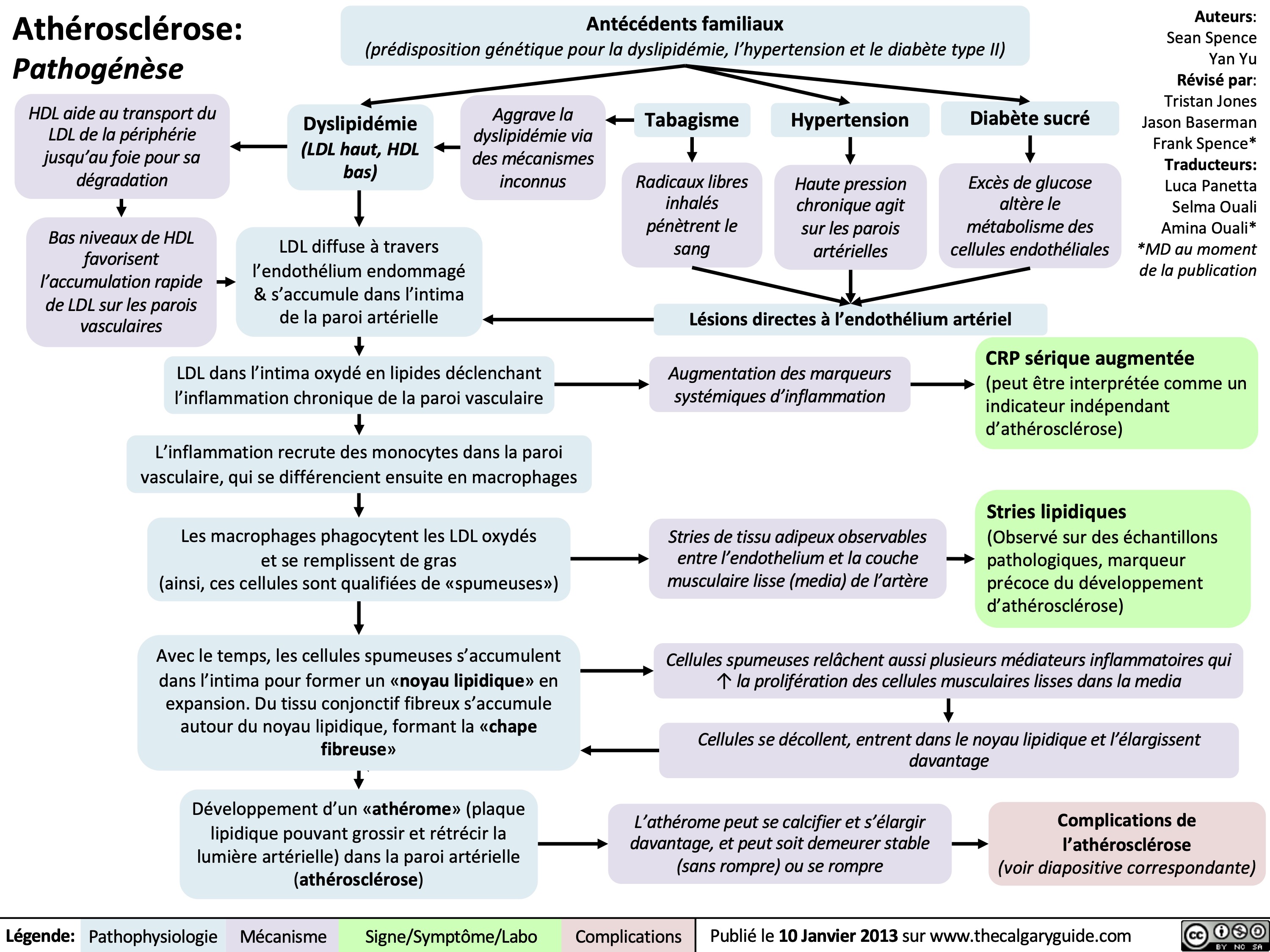 Athérosclérose:
Pathogénèse