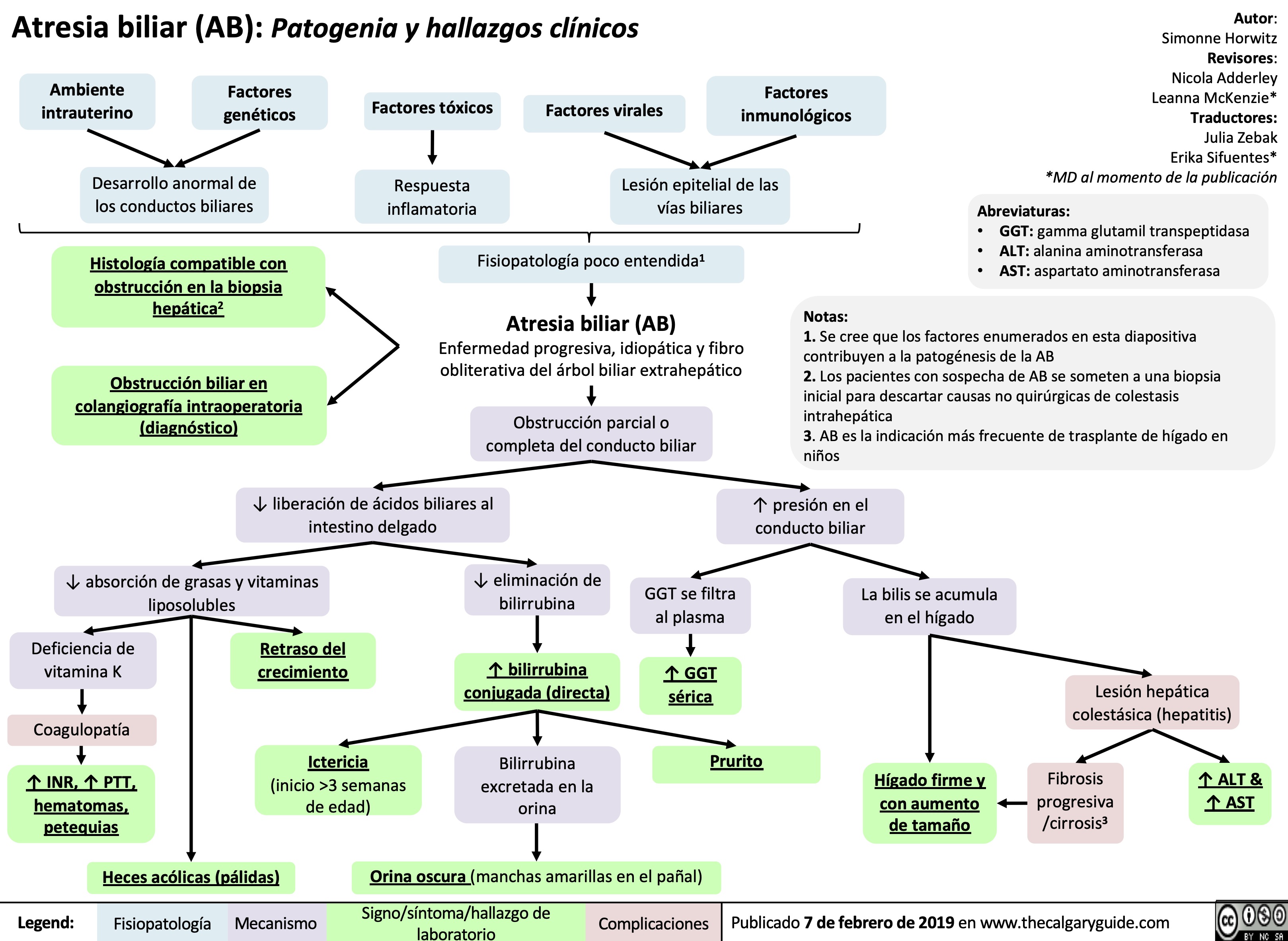 Atresia biliar (AB): Patogenia y hallazgos clínicos
