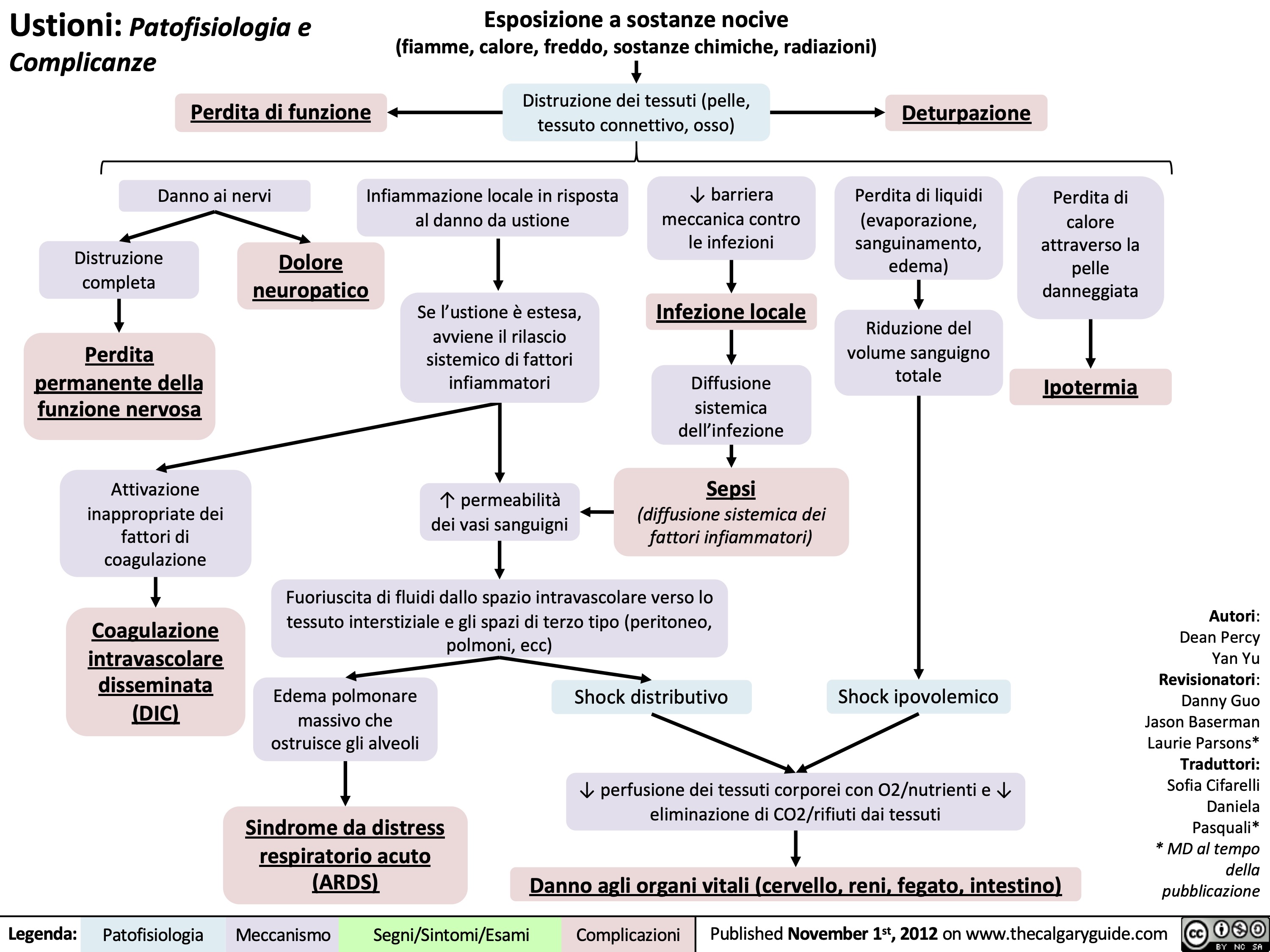 Ustioni: Patofisiologia e Complicanze