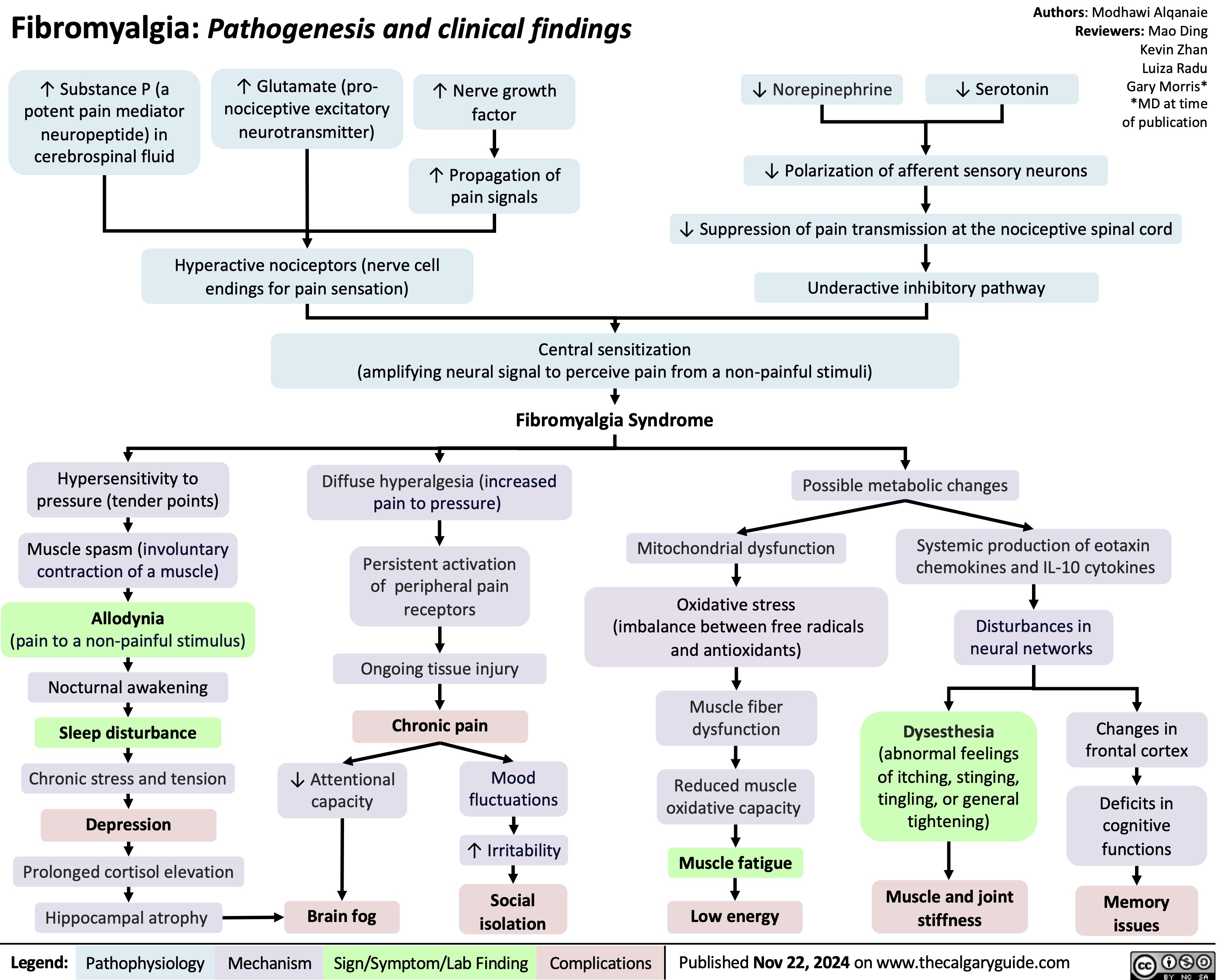 Fibromyalgia: Pathogenesis and clinical findings
Authors: Modhawi Alqanaie Reviewers: Mao Ding Kevin Zhan Luiza Radu Gary Morris* *MD at time of publication
     ↑ Substance P (a potent pain mediator neuropeptide) in cerebrospinal fluid
↑ Glutamate (pro- nociceptive excitatory neurotransmitter)
↑ Nerve growth factor
↑ Propagation of pain signals
↓ Norepinephrine
↓ Serotonin
      Hyperactive nociceptors (nerve cell endings for pain sensation)
↓ Polarization of afferent sensory neurons
↓ Suppression of pain transmission at the nociceptive spinal cord Underactive inhibitory pathway
    Central sensitization
(amplifying neural signal to perceive pain from a non-painful stimuli)
Fibromyalgia Syndrome
     Hypersensitivity to pressure (tender points)
Muscle spasm (involuntary contraction of a muscle)
Allodynia
(pain to a non-painful stimulus) Nocturnal awakening Sleep disturbance Chronic stress and tension Depression Prolonged cortisol elevation
Diffuse hyperalgesia (increased pain to pressure)
Persistent activation of peripheral pain receptors
Ongoing tissue injury
Chronic pain
Possible metabolic changes
      Mitochondrial dysfunction
Oxidative stress (imbalance between free radicals and antioxidants)
Muscle fiber dysfunction
Reduced muscle oxidative capacity
Muscle fatigue Low energy
Systemic production of eotaxin chemokines and IL-10 cytokines
Disturbances in neural networks
                 ↓ Attentional capacity
Mood fluctuations
↑ Irritability Social
isolation
Dysesthesia
(abnormal feelings of itching, stinging, tingling, or general tightening)
Muscle and joint stiffness
Changes in frontal cortex
Deficits in cognitive functions
Memory issues
           Hippocampal atrophy       Brain fog
 Legend:
 Pathophysiology
 Mechanism
 Sign/Symptom/Lab Finding
 Complications
Published Nov 22, 2024 on www.thecalgaryguide.com
  