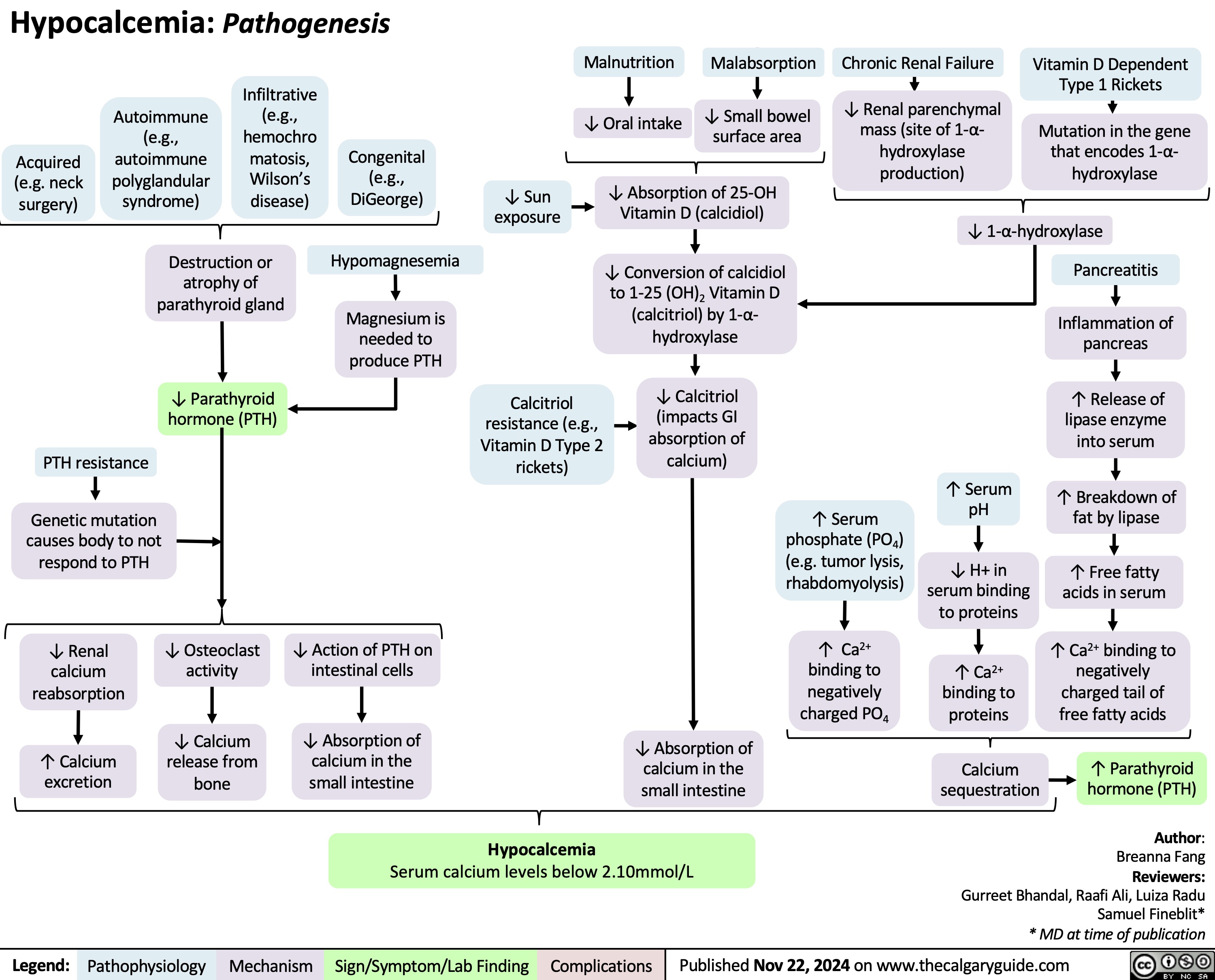 Hypocalcemia: Pathogenesis
    Malnutrition ↓ Oral intake
         Acquired (e.g. neck surgery)
Autoimmune (e.g., autoimmune polyglandular syndrome)
Infiltrative (e.g., hemochro matosis, Wilson’s disease)
Congenital (e.g., DiGeorge)
Hypomagnesemia
Magnesium is needed to produce PTH
Malabsorption
↓ Small bowel surface area
↓ Absorption of 25-OH Vitamin D (calcidiol)
↓ Conversion of calcidiol to 1-25 (OH)2 Vitamin D (calcitriol) by 1-α- hydroxylase
↓ Calcitriol
(impacts GI absorption of calcium)
Chronic Renal Failure
↓ Renal parenchymal mass (site of 1-α- hydroxylase production)
Vitamin D Dependent Type 1 Rickets
Mutation in the gene that encodes 1-α- hydroxylase
   ↓ Sun exposure
↓ 1-α-hydroxylase Pancreatitis
        Destruction or atrophy of parathyroid gland
↓ Parathyroid hormone (PTH)
Calcitriol resistance (e.g., Vitamin D Type 2 rickets)
Inflammation of pancreas
↑ Release of lipase enzyme into serum
↑ Breakdown of fat by lipase
↑ Free fatty acids in serum
↑ Ca2+ binding to negatively charged tail of free fatty acids
↑ Parathyroid hormone (PTH)
               PTH resistance
Genetic mutation causes body to not respond to PTH
↓ Renal calcium reabsorption
↑ Calcium excretion
↓ Osteoclast activity
↓ Calcium release from bone
↓ Action of PTH on intestinal cells
↓ Absorption of calcium in the small intestine
↑ Serum phosphate (PO4) (e.g. tumor lysis, rhabdomyolysis)
↑ Ca2+
binding to
negatively charged PO4
↑ Serum pH
↓ H+ in serum binding to proteins
↑ Ca2+ binding to proteins
Calcium sequestration
              ↓ Absorption of calcium in the small intestine
      Hypocalcemia
Author: Breanna Fang Reviewers: Gurreet Bhandal, Raafi Ali, Luiza Radu Samuel Fineblit* * MD at time of publication
Serum calcium levels below 2.10mmol/L
 Legend:
 Pathophysiology
Mechanism
Sign/Symptom/Lab Finding
 Complications
 Published Nov 22, 2024 on www.thecalgaryguide.com
   