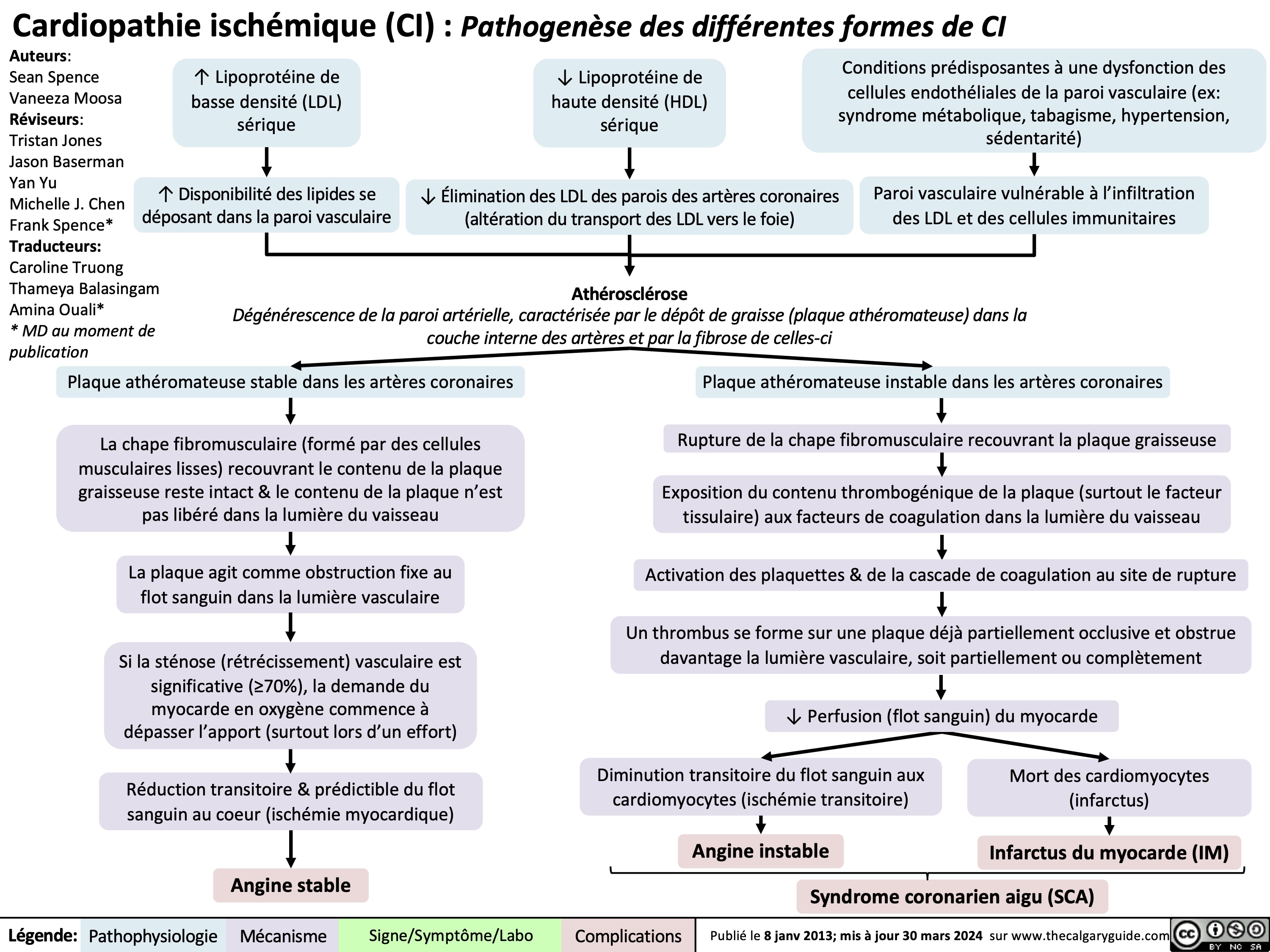 Cardiopathie ischémique (CI) : Pathogenèse des différentes formes de CI