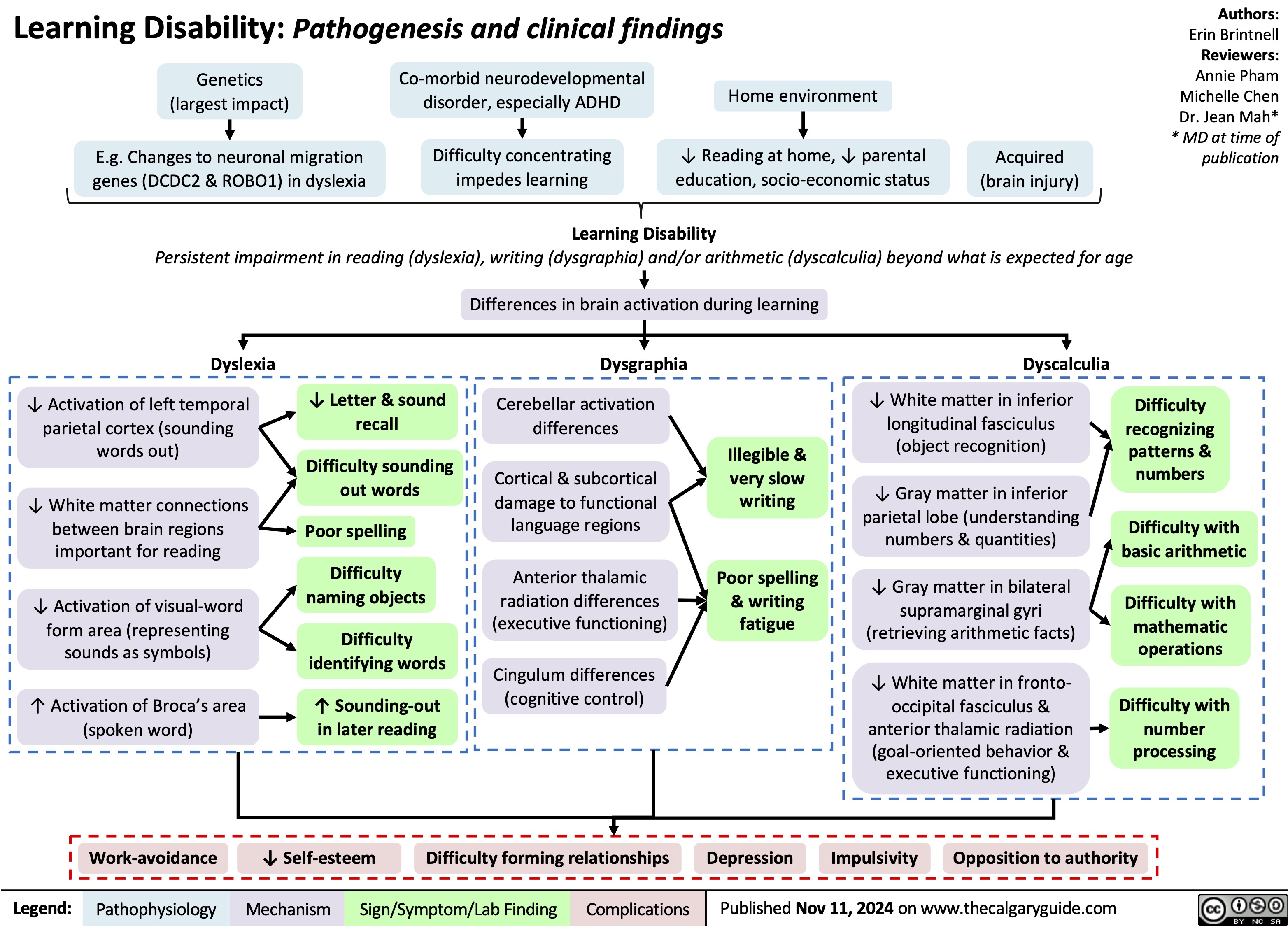 Learning Disability: Pathogenesis and clinical findings
Authors: Erin Brintnell Reviewers: Annie Pham Michelle Chen Dr. Jean Mah* * MD at time of publication
  Genetics (largest impact)
E.g. Changes to neuronal migration genes (DCDC2 & ROBO1) in dyslexia
Co-morbid neurodevelopmental disorder, especially ADHD
Difficulty concentrating impedes learning
Home environment
↓ Reading at home, ↓ parental education, socio-economic status
Acquired (brain injury)
      Learning Disability
Persistent impairment in reading (dyslexia), writing (dysgraphia) and/or arithmetic (dyscalculia) beyond what is expected for age
Differences in brain activation during learning
Dyslexia Dysgraphia Dyscalculia
           ↓ Activation of left temporal parietal cortex (sounding words out)
↓ White matter connections between brain regions important for reading
↓ Activation of visual-word form area (representing sounds as symbols)
↑ Activation of Broca’s area (spoken word)
↓ Letter & sound recall
Difficulty sounding out words
Poor spelling
Difficulty naming objects
Difficulty identifying words
↑ Sounding-out in later reading
Cerebellar activation differences
Cortical & subcortical damage to functional language regions
Anterior thalamic radiation differences (executive functioning)
Cingulum differences (cognitive control)
Illegible & very slow writing
Poor spelling & writing fatigue
↓ White matter in inferior longitudinal fasciculus (object recognition)
↓ Gray matter in inferior parietal lobe (understanding numbers & quantities)
↓ Gray matter in bilateral supramarginal gyri (retrieving arithmetic facts)
↓ White matter in fronto- occipital fasciculus & anterior thalamic radiation (goal-oriented behavior & executive functioning)
Difficulty recognizing patterns & numbers
Difficulty with basic arithmetic
Difficulty with mathematic operations
Difficulty with number processing
                                   Work-avoidance ↓ Self-esteem Difficulty forming relationships Depression Impulsivity Opposition to authority
 Legend:
 Pathophysiology
Mechanism
Sign/Symptom/Lab Finding
 Complications
 Published Nov 11, 2024 on www.thecalgaryguide.com
   