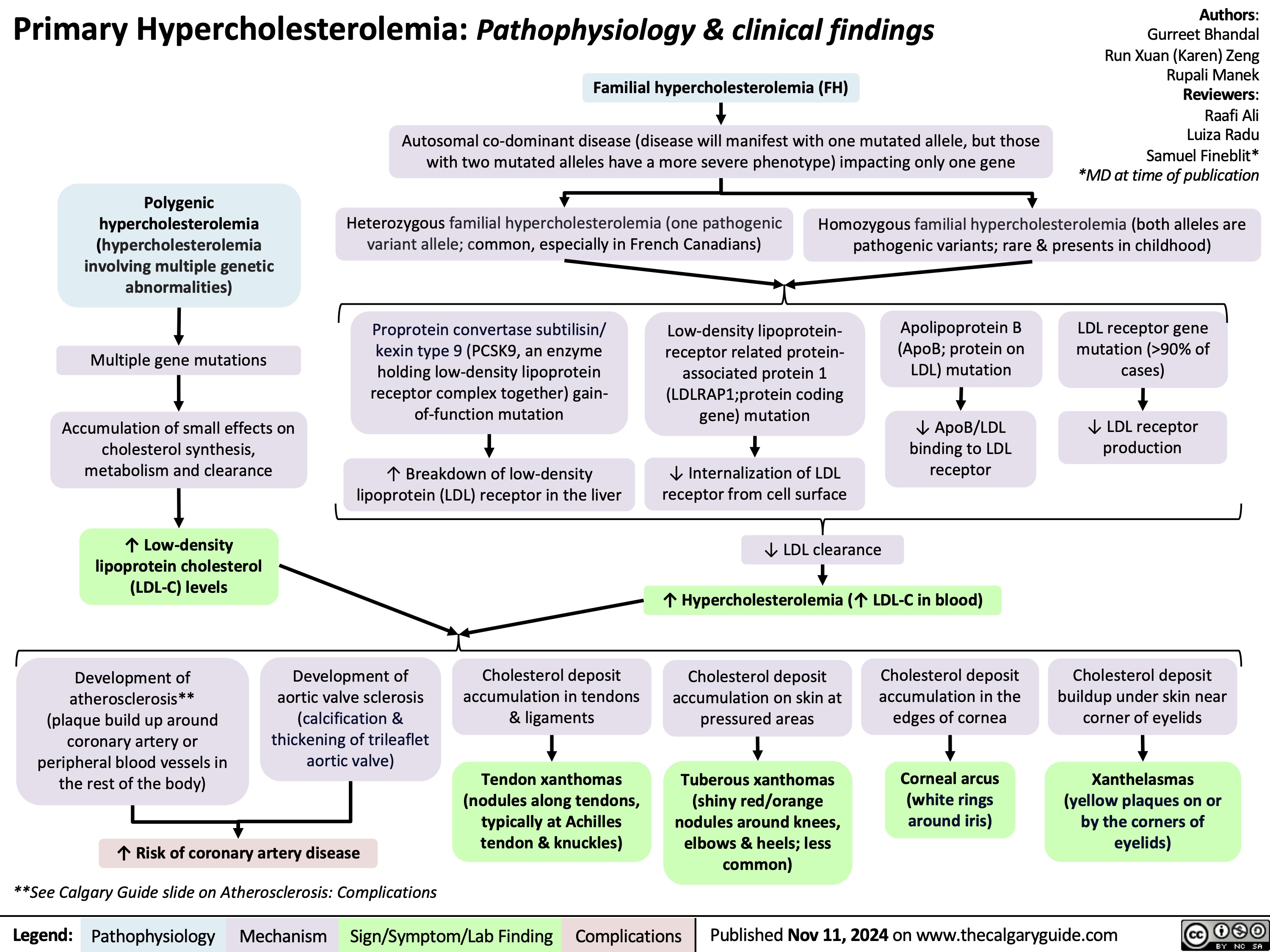 Primary Hypercholesterolemia: Pathophysiology & clinical findings Familial hypercholesterolemia (FH)
Authors: Gurreet Bhandal Run Xuan (Karen) Zeng Rupali Manek Reviewers: Raafi Ali Luiza Radu Samuel Fineblit* *MD at time of publication
  Autosomal co-dominant disease (disease will manifest with one mutated allele, but those with two mutated alleles have a more severe phenotype) impacting only one gene
  Polygenic hypercholesterolemia (hypercholesterolemia involving multiple genetic abnormalities)
Multiple gene mutations
Accumulation of small effects on cholesterol synthesis, metabolism and clearance
↑ Low-density lipoprotein cholesterol (LDL-C) levels
Development of atherosclerosis** (plaque build up around coronary artery or peripheral blood vessels in the rest of the body)
Heterozygous familial hypercholesterolemia (one pathogenic variant allele; common, especially in French Canadians)
Homozygous familial hypercholesterolemia (both alleles are pathogenic variants; rare & presents in childhood)
         Proprotein convertase subtilisin/ kexin type 9 (PCSK9, an enzyme holding low-density lipoprotein receptor complex together) gain- of-function mutation
↑ Breakdown of low-density lipoprotein (LDL) receptor in the liver
Low-density lipoprotein- receptor related protein- associated protein 1 (LDLRAP1;protein coding gene) mutation
↓ Internalization of LDL receptor from cell surface
↓ LDL clearance
Apolipoprotein B (ApoB; protein on LDL) mutation
↓ ApoB/LDL binding to LDL receptor
LDL receptor gene mutation (>90% of cases)
↓ LDL receptor production
           ↑ Hypercholesterolemia (↑ LDL-C in blood)
        Development of aortic valve sclerosis (calcification & thickening of trileaflet aortic valve)
Cholesterol deposit accumulation in tendons & ligaments
Tendon xanthomas (nodules along tendons, typically at Achilles tendon & knuckles)
Cholesterol deposit accumulation on skin at pressured areas
Tuberous xanthomas (shiny red/orange nodules around knees, elbows & heels; less common)
Cholesterol deposit accumulation in the edges of cornea
Corneal arcus (white rings around iris)
Cholesterol deposit buildup under skin near corner of eyelids
Xanthelasmas (yellow plaques on or by the corners of eyelids)
      ↑ Risk of coronary artery disease
**See Calgary Guide slide on Atherosclerosis: Complications
 Legend:
 Pathophysiology
Mechanism
Sign/Symptom/Lab Finding
 Complications
 Published Nov 11, 2024 on www.thecalgaryguide.com
   