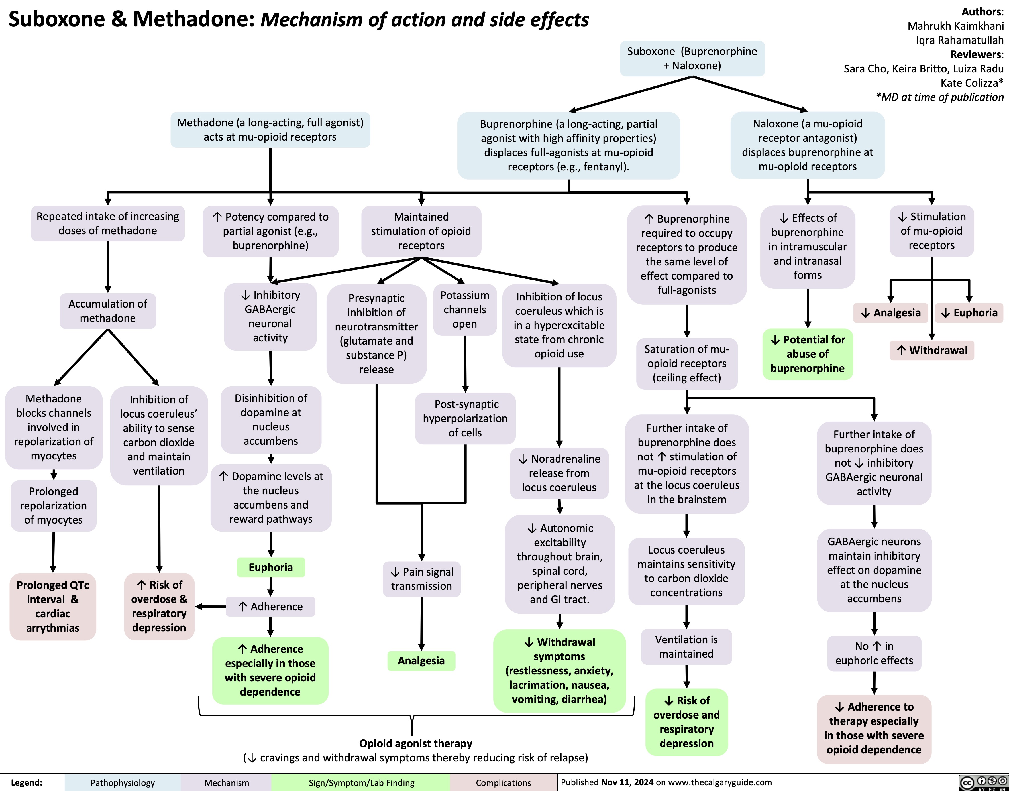 Suboxone & Methadone: Mechanism of action and side effects
Authors: Mahrukh Kaimkhani Iqra Rahamatullah Reviewers: Sara Cho, Keira Britto, Luiza Radu Kate Colizza* *MD at time of publication
 Suboxone (Buprenorphine + Naloxone)
   Methadone (a long-acting, full agonist) acts at mu-opioid receptors
Buprenorphine (a long-acting, partial agonist with high affinity properties) displaces full-agonists at mu-opioid receptors (e.g., fentanyl).
Naloxone (a mu-opioid receptor antagonist) displaces buprenorphine at mu-opioid receptors
↓ Effects of buprenorphine in intramuscular and intranasal forms
↓ Potential for abuse of buprenorphine
         Repeated intake of increasing doses of methadone
Accumulation of methadone
↑ Potency compared to partial agonist (e.g., buprenorphine)
↓ Inhibitory GABAergic neuronal activity
Disinhibition of dopamine at nucleus accumbens
↑ Dopamine levels at the nucleus accumbens and reward pathways
Euphoria
↑ Adherence
↑ Adherence especially in those with severe opioid dependence
Maintained stimulation of opioid receptors
↑ Buprenorphine required to occupy receptors to produce the same level of effect compared to full-agonists
Saturation of mu- opioid receptors (ceiling effect)
Further intake of buprenorphine does not ↑ stimulation of mu-opioid receptors at the locus coeruleus in the brainstem
Locus coeruleus maintains sensitivity to carbon dioxide concentrations
Ventilation is maintained
↓ Risk of overdose and respiratory depression
↓ Stimulation of mu-opioid receptors
↓ Analgesia
↑ Withdrawal
       Potassium channels open
Post-synaptic hyperpolarization of cells
 Presynaptic inhibition of neurotransmitter (glutamate and substance P) release
Inhibition of locus coeruleus which is in a hyperexcitable state from chronic opioid use
↓ Noradrenaline release from locus coeruleus
↓ Autonomic excitability throughout brain, spinal cord, peripheral nerves and GI tract.
↓ Withdrawal symptoms (restlessness, anxiety, lacrimation, nausea, vomiting, diarrhea)
↓ Euphoria
              Methadone blocks channels involved in repolarization of myocytes
Prolonged repolarization of myocytes
Prolonged QTc interval & cardiac arrythmias
Inhibition of locus coeruleus’ ability to sense carbon dioxide and maintain ventilation
↑ Risk of overdose & respiratory depression
↓ Pain signal transmission
Analgesia
Opioid agonist therapy
Further intake of buprenorphine does not ↓ inhibitory GABAergic neuronal activity
GABAergic neurons maintain inhibitory effect on dopamine at the nucleus accumbens
No ↑ in euphoric effects
↓ Adherence to therapy especially in those with severe opioid dependence
                        (↓ cravings and withdrawal symptoms thereby reducing risk of relapse)
 Legend:
 Pathophysiology
Mechanism
Sign/Symptom/Lab Finding
 Complications
 Published Nov 11, 2024 on www.thecalgaryguide.com
   