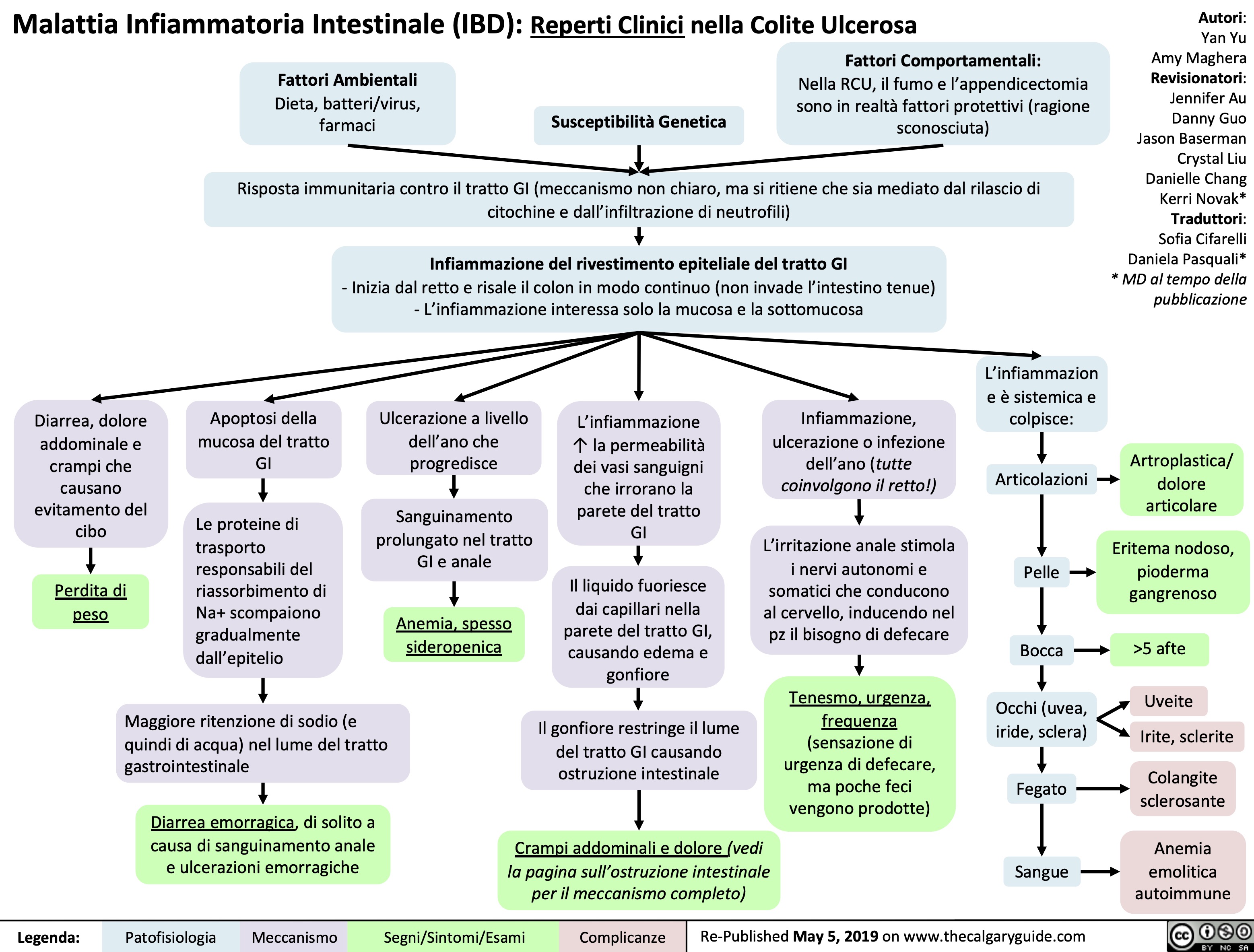 Malattia Infiammatoria Intestinale (IBD): Reperti Clinici nella Colite Ulcerosa