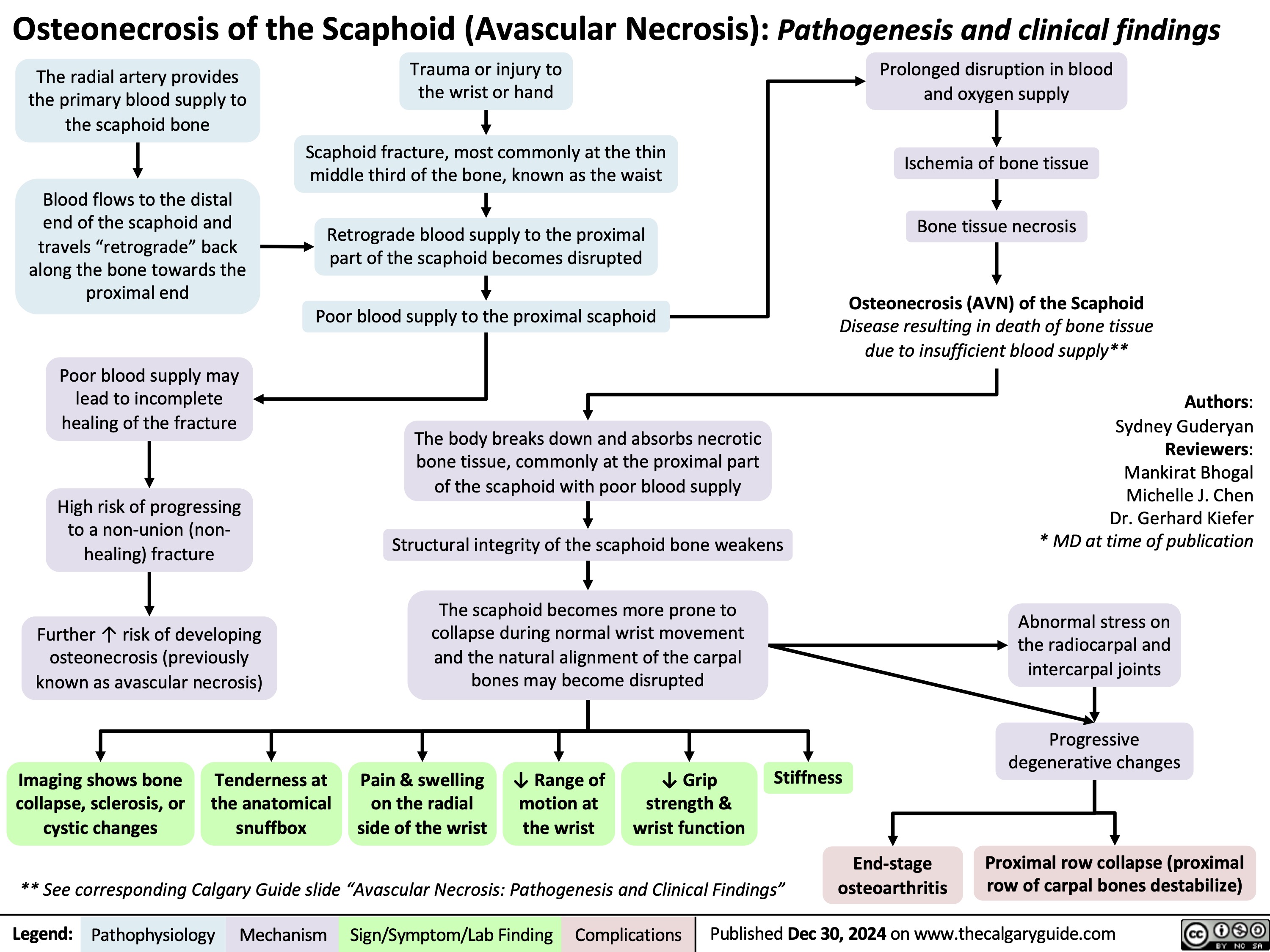 Osteonecrosis of the Scaphoid (Avascular Necrosis): Pathogenesis and clinical findings
   The radial artery provides the primary blood supply to the scaphoid bone
Blood flows to the distal
end of the scaphoid and travels “retrograde” back along the bone towards the proximal end
Poor blood supply may lead to incomplete healing of the fracture
High risk of progressing to a non-union (non- healing) fracture
Further ↑ risk of developing osteonecrosis (previously known as avascular necrosis)
Trauma or injury to the wrist or hand
Scaphoid fracture, most commonly at the thin middle third of the bone, known as the waist
Retrograde blood supply to the proximal part of the scaphoid becomes disrupted
Poor blood supply to the proximal scaphoid
The body breaks down and absorbs necrotic bone tissue, commonly at the proximal part of the scaphoid with poor blood supply
Structural integrity of the scaphoid bone weakens
The scaphoid becomes more prone to collapse during normal wrist movement and the natural alignment of the carpal bones may become disrupted
Prolonged disruption in blood and oxygen supply
Ischemia of bone tissue Bone tissue necrosis
Osteonecrosis (AVN) of the Scaphoid
Disease resulting in death of bone tissue due to insufficient blood supply**
Authors: Sydney Guderyan Reviewers: Mankirat Bhogal Michelle J. Chen Dr. Gerhard Kiefer * MD at time of publication
Abnormal stress on the radiocarpal and intercarpal joints
Progressive degenerative changes
Proximal row collapse (proximal row of carpal bones destabilize)
                             Imaging shows bone collapse, sclerosis, or cystic changes
Tenderness at the anatomical snuffbox
Pain & swelling on the radial side of the wrist
↓ Range of motion at the wrist
↓ Grip strength & wrist function
Stiffness
   ** See corresponding Calgary Guide slide “Avascular Necrosis: Pathogenesis and Clinical Findings”
End-stage osteoarthritis
 Legend:
 Pathophysiology
Mechanism
 Sign/Symptom/Lab Finding
 Complications
 Published Dec 30, 2024 on www.thecalgaryguide.com
  