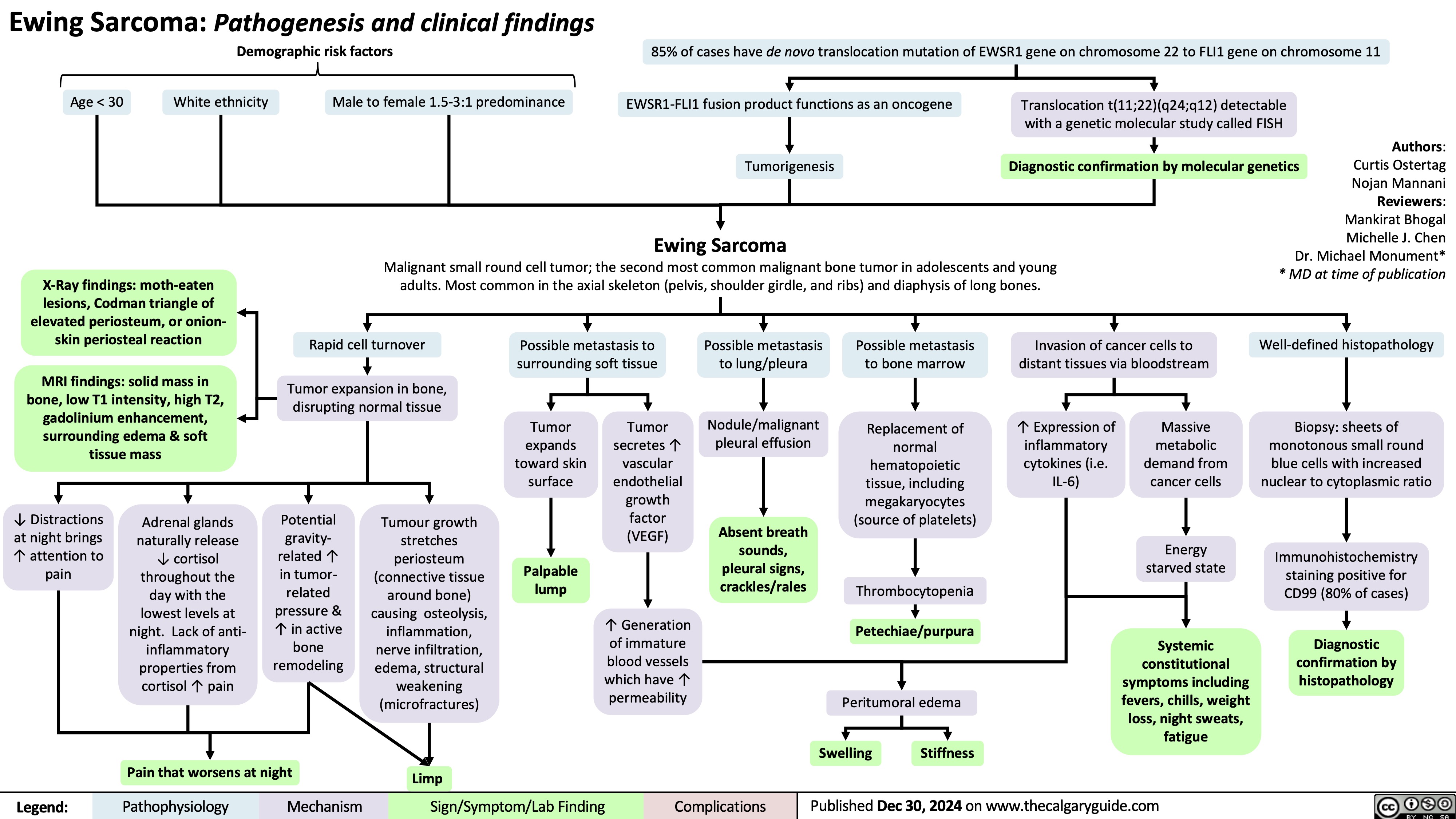 Ewing Sarcoma: Pathogenesis and clinical findings Demographic risk factors
85% of cases have de novo translocation mutation of EWSR1 gene on chromosome 22 to FLI1 gene on chromosome 11
        Age < 30
White ethnicity
Male to female 1.5-3:1 predominance
EWSR1-FLI1 fusion product functions as an oncogene Tumorigenesis
Ewing Sarcoma
Translocation t(11;22)(q24;q12) detectable with a genetic molecular study called FISH
Authors: Curtis Ostertag Nojan Mannani Reviewers: Mankirat Bhogal Michelle J. Chen Dr. Michael Monument* * MD at time of publication
Well-defined histopathology
Biopsy: sheets of monotonous small round blue cells with increased nuclear to cytoplasmic ratio
Immunohistochemistry staining positive for CD99 (80% of cases)
Diagnostic confirmation by histopathology
    Diagnostic confirmation by molecular genetics
  X-Ray findings: moth-eaten
lesions, Codman triangle of elevated periosteum, or onion- skin periosteal reaction
MRI findings: solid mass in bone, low T1 intensity, high T2, gadolinium enhancement, surrounding edema & soft tissue mass
Malignant small round cell tumor; the second most common malignant bone tumor in adolescents and young adults. Most common in the axial skeleton (pelvis, shoulder girdle, and ribs) and diaphysis of long bones.
          Rapid cell turnover
Tumor expansion in bone, disrupting normal tissue
Possible metastasis to surrounding soft tissue
Possible metastasis to lung/pleura
Nodule/malignant pleural effusion
Absent breath sounds, pleural signs, crackles/rales
Possible metastasis to bone marrow
Replacement of normal hematopoietic tissue, including megakaryocytes (source of platelets)
Thrombocytopenia
Petechiae/purpura
Peritumoral edema
Swelling Stiffness
Invasion of cancer cells to distant tissues via bloodstream
           Tumor expands toward skin surface
Palpable lump
Tumor secretes ↑ vascular endothelial growth factor (VEGF)
↑ Generation of immature blood vessels which have ↑ permeability
↑ Expression of inflammatory cytokines (i.e. IL-6)
Massive metabolic demand from cancer cells
Energy starved state
Systemic constitutional symptoms including fevers, chills, weight loss, night sweats, fatigue
          ↓ Distractions at night brings ↑ attention to pain
Adrenal glands naturally release ↓ cortisol throughout the day with the lowest levels at night. Lack of anti- inflammatory properties from cortisol ↑ pain
Potential gravity- related ↑ in tumor- related pressure & ↑ in active bone remodeling
Tumour growth stretches periosteum (connective tissue around bone) causing osteolysis, inflammation, nerve infiltration, edema, structural weakening (microfractures)
              Pain that worsens at night
Limp
 Legend:
 Pathophysiology
Mechanism
Sign/Symptom/Lab Finding
 Complications
 Published Dec 30, 2024 on www.thecalgaryguide.com
   