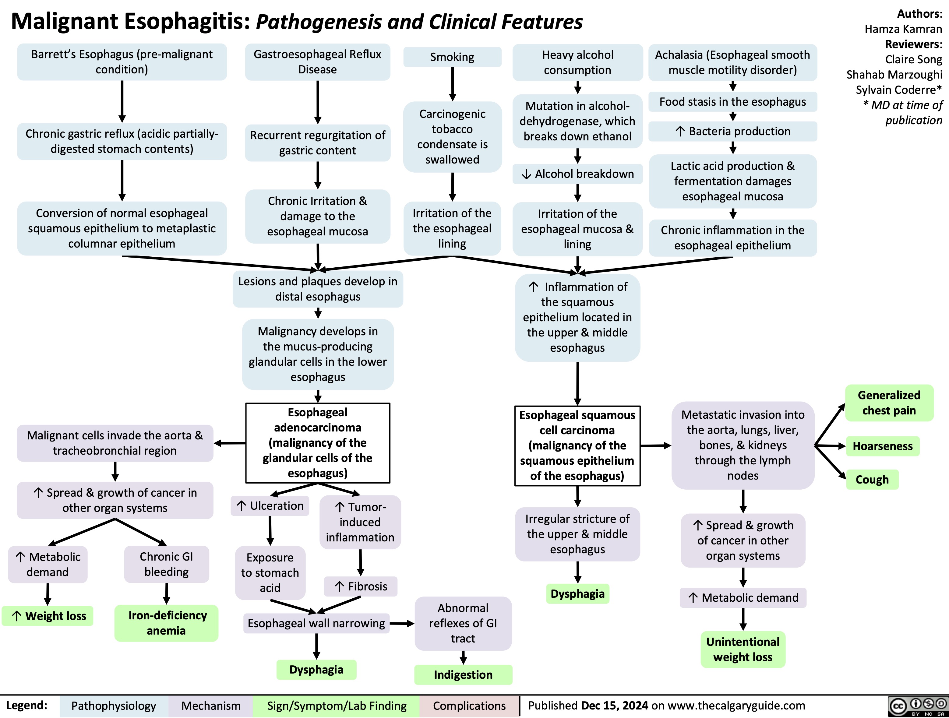 Malignant Esophagitis: Pathogenesis and Clinical Features
Authors: Hamza Kamran Reviewers: Claire Song Shahab Marzoughi Sylvain Coderre* * MD at time of publication
    Barrett’s Esophagus (pre-malignant condition)
Chronic gastric reflux (acidic partially- digested stomach contents)
Conversion of normal esophageal squamous epithelium to metaplastic columnar epithelium
Gastroesophageal Reflux Disease
Recurrent regurgitation of gastric content
Chronic Irritation & damage to the esophageal mucosa
Lesions and plaques develop in distal esophagus
Malignancy develops in the mucus-producing glandular cells in the lower esophagus
Smoking
Carcinogenic tobacco condensate is swallowed
Irritation of the the esophageal lining
Heavy alcohol consumption
Mutation in alcohol- dehydrogenase, which breaks down ethanol
↓ Alcohol breakdown
Irritation of the esophageal mucosa & lining
↑ Inflammation of the squamous epithelium located in the upper & middle esophagus
Achalasia (Esophageal smooth muscle motility disorder)
Food stasis in the esophagus ↑ Bacteria production
Lactic acid production & fermentation damages esophageal mucosa
Chronic inflammation in the esophageal epithelium
                            Malignant cells invade the aorta & tracheobronchial region
↑ Spread & growth of cancer in other organ systems
Metastatic invasion into the aorta, lungs, liver, bones, & kidneys through the lymph nodes
↑ Spread & growth of cancer in other organ systems
↑ Metabolic demand
Unintentional weight loss
Generalized chest pain
Hoarseness Cough
Esophageal adenocarcinoma (malignancy of the glandular cells of the esophagus)
 Esophageal squamous cell carcinoma (malignancy of the squamous epithelium of the esophagus)
              ↑ Metabolic demand
↑ Weight loss
Chronic GI bleeding
Iron-deficiency anemia
↑ Ulceration
Exposure to stomach acid
↑ Tumor- induced inflammation
↑ Fibrosis
Irregular stricture of the upper & middle esophagus
Dysphagia
       Esophageal wall narrowing
Abnormal reflexes of GI tract
  Dysphagia
Indigestion
  Legend:
 Pathophysiology
 Mechanism
 Sign/Symptom/Lab Finding
 Complications
 Published Dec 15, 2024 on www.thecalgaryguide.com
 