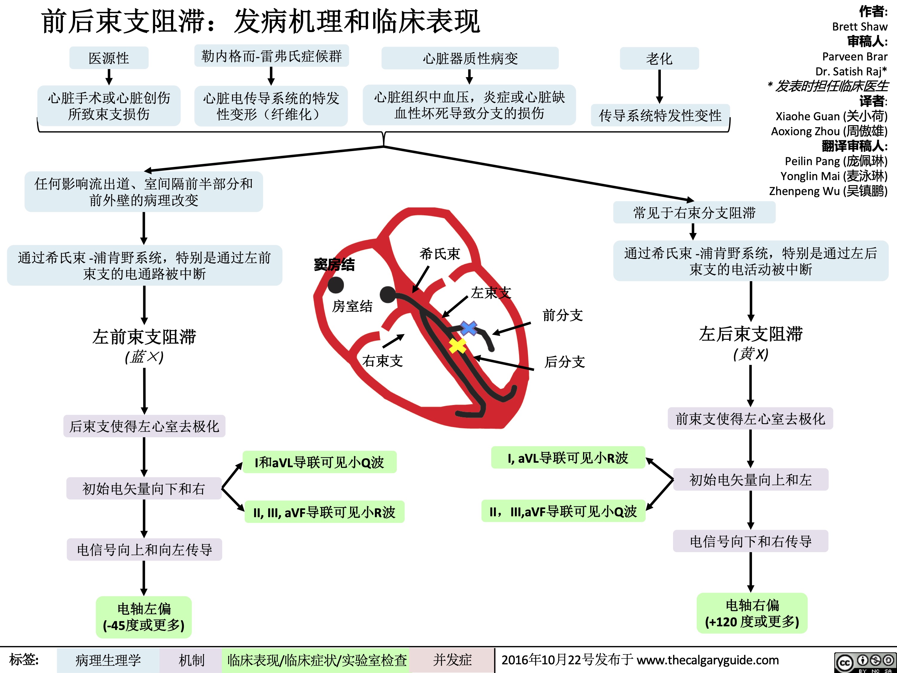 前后束支阻滞:发病机理和临床表现