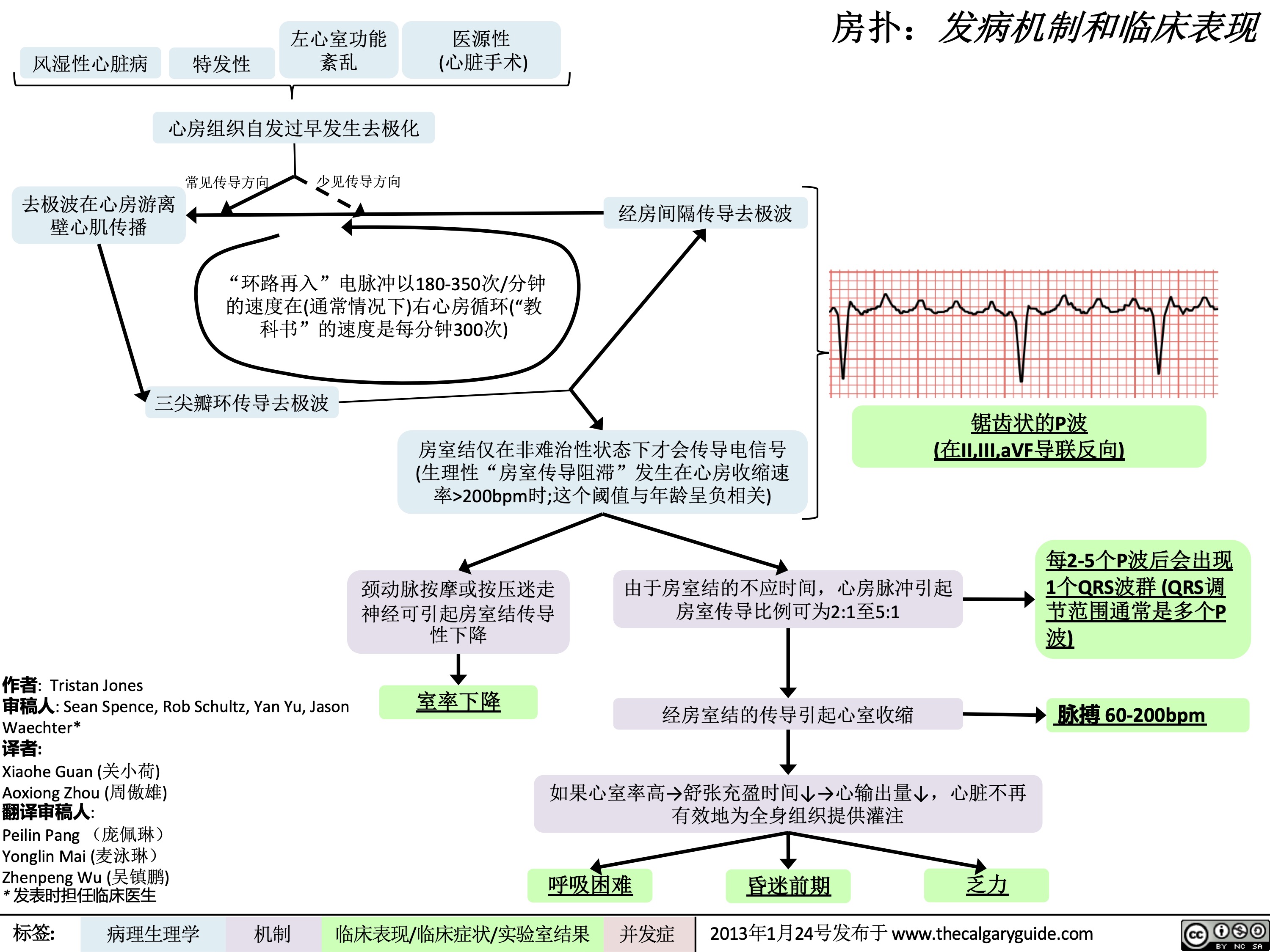 房扑:发病机制和临床表现