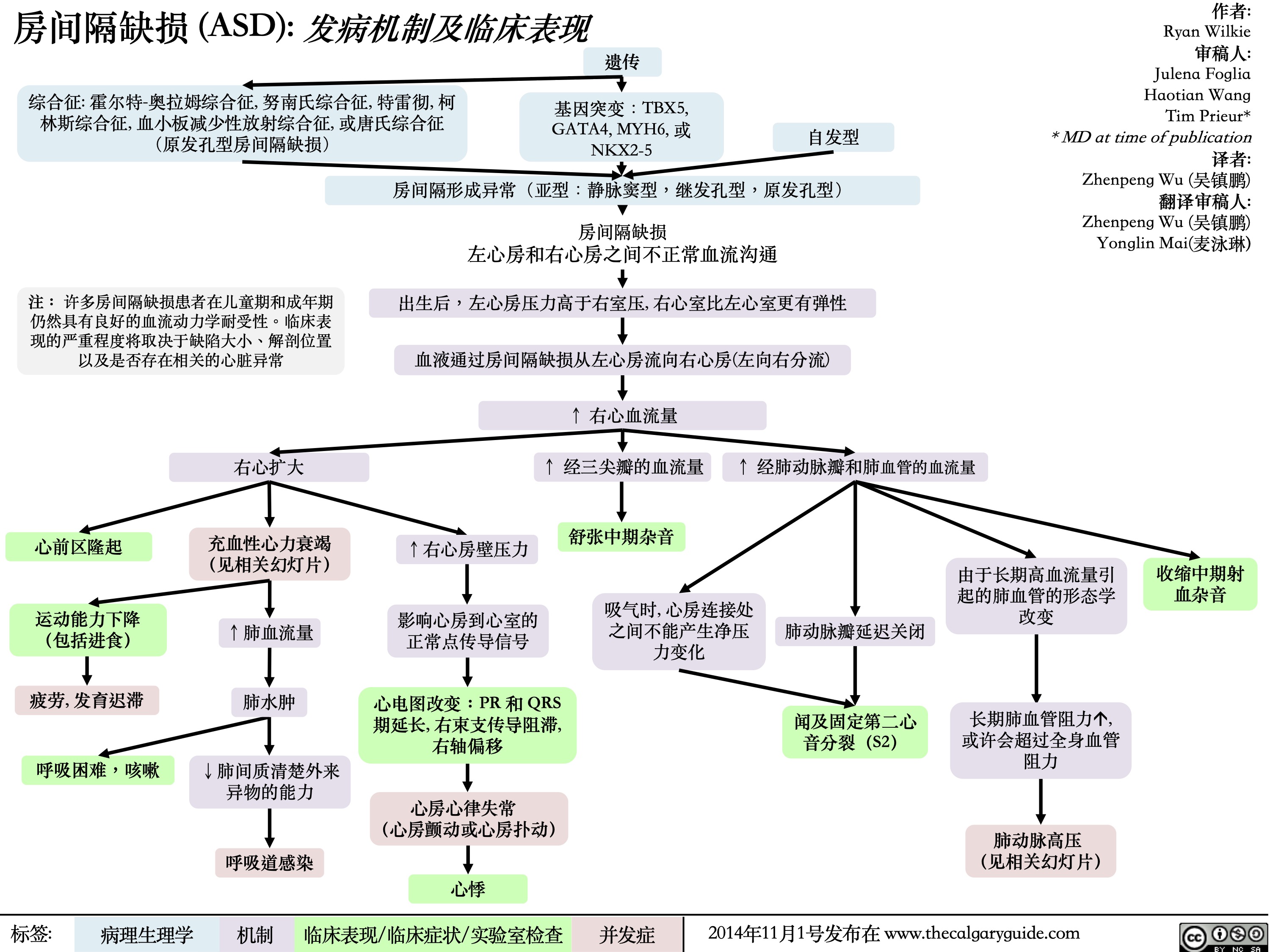 房间隔缺损 (ASD): 发病机制及临床表现