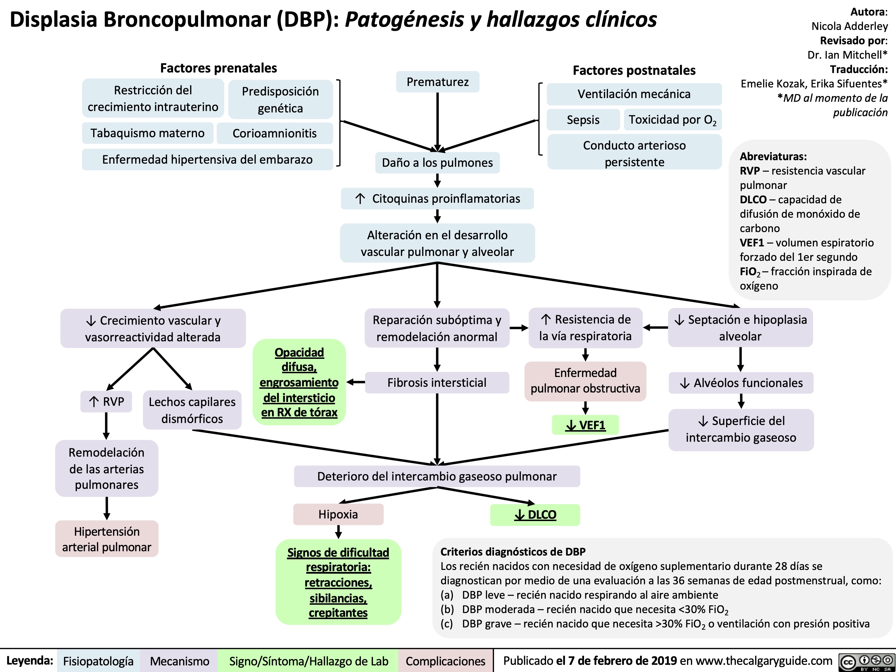 Displasia Broncopulmonar (DBP): Patogénesis y hallazgos clínicos