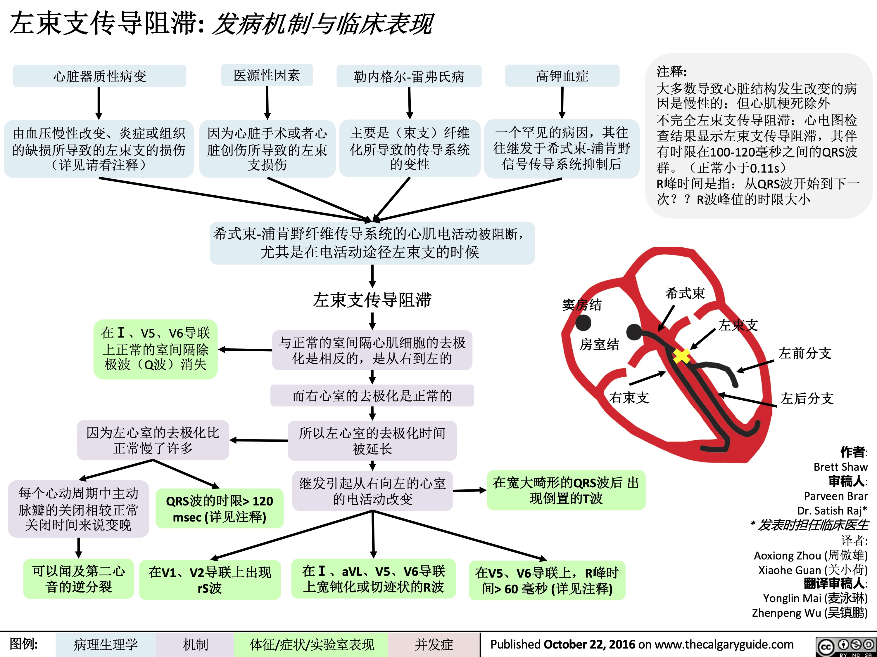 左束支传导阻滞: 发病机制与临床表现
