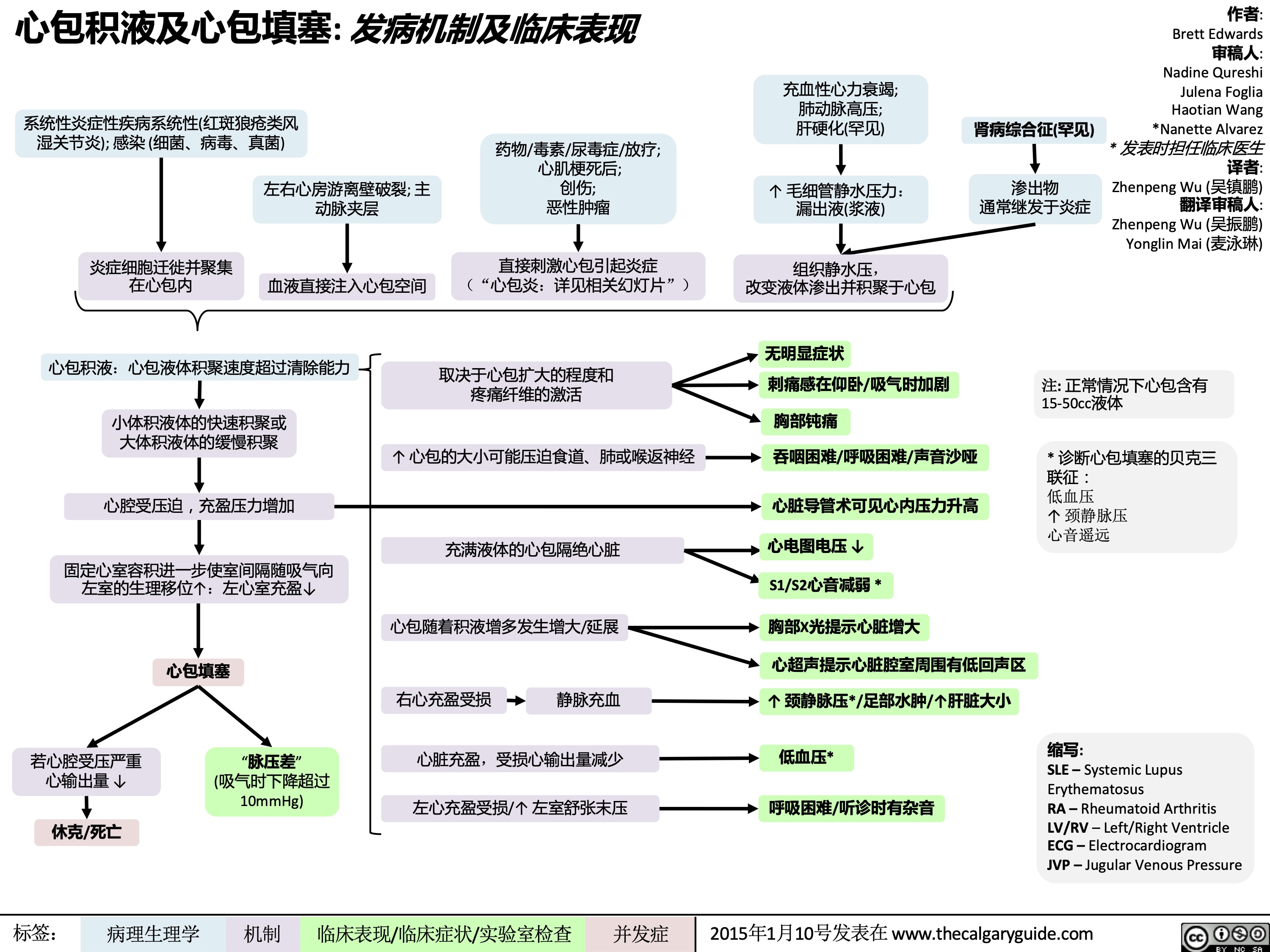 心包积液及心包填塞: 发病机制及临床表现