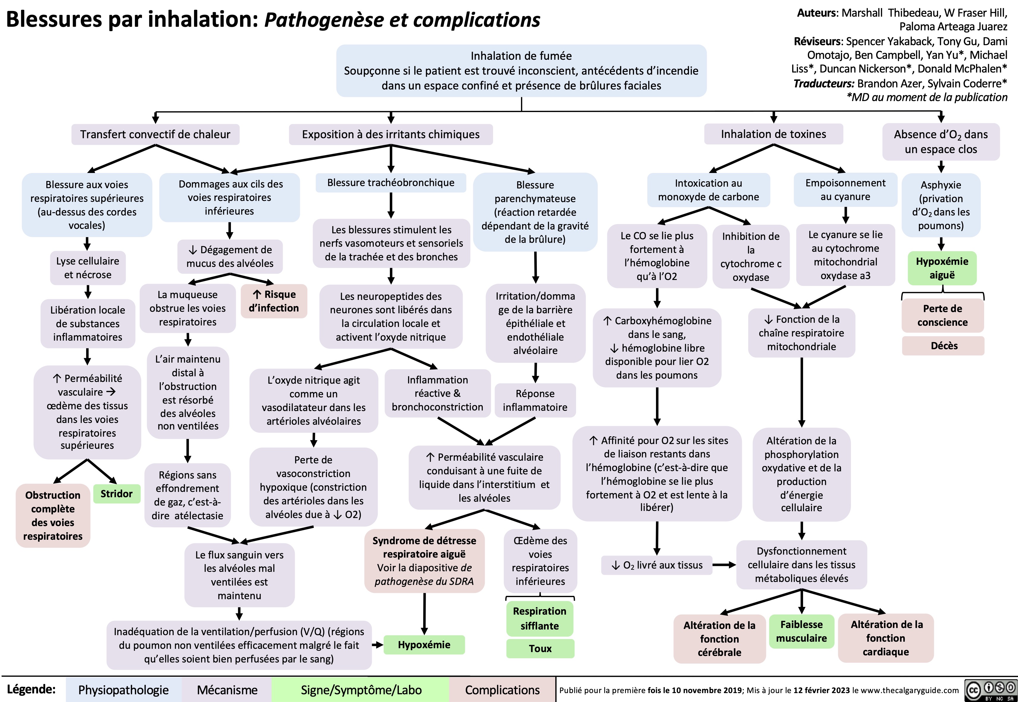 Blessures par inhalation: Pathogenèse et complications