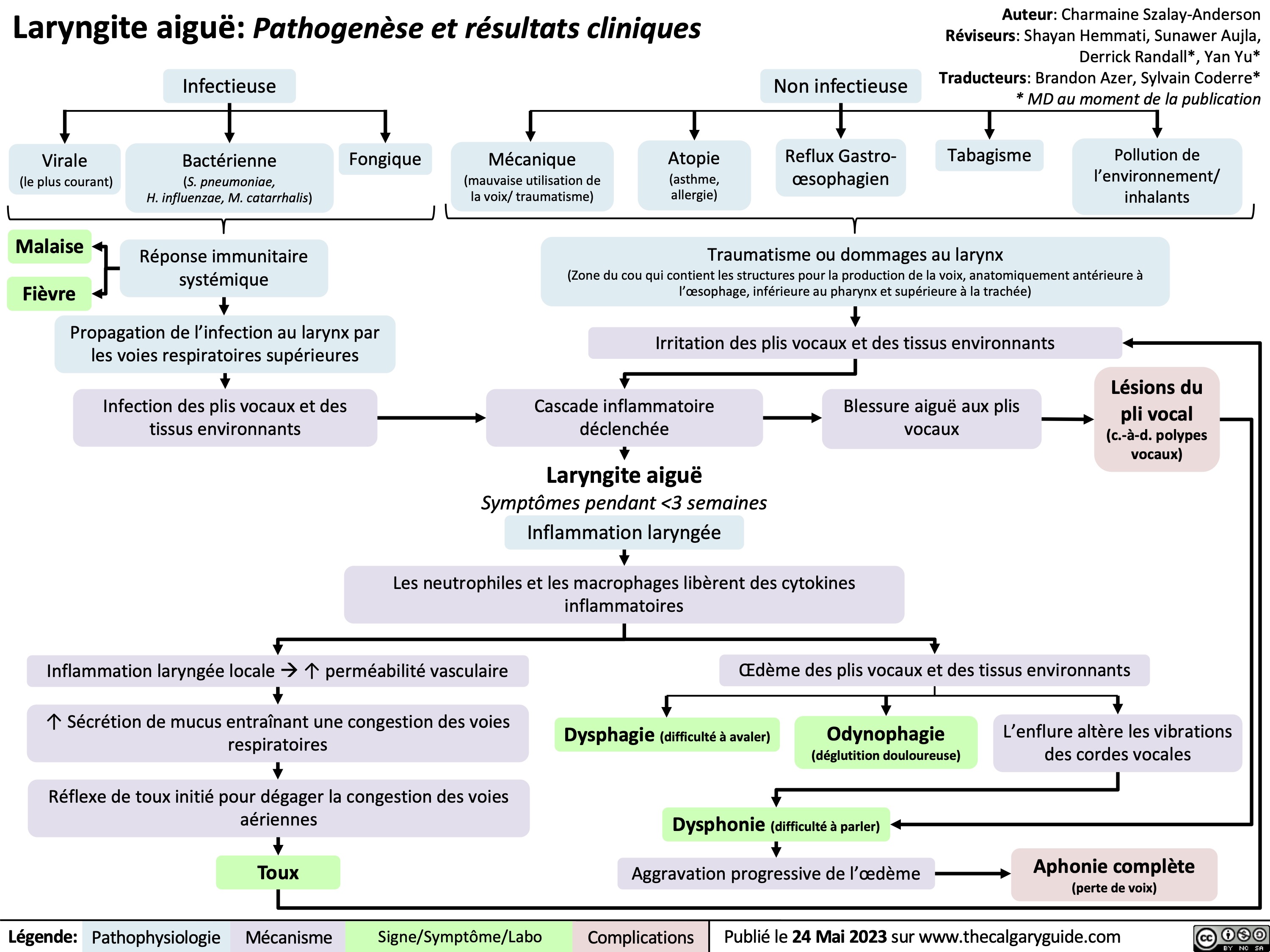 Laryngite aiguë: Pathogenèse et résultats cliniques