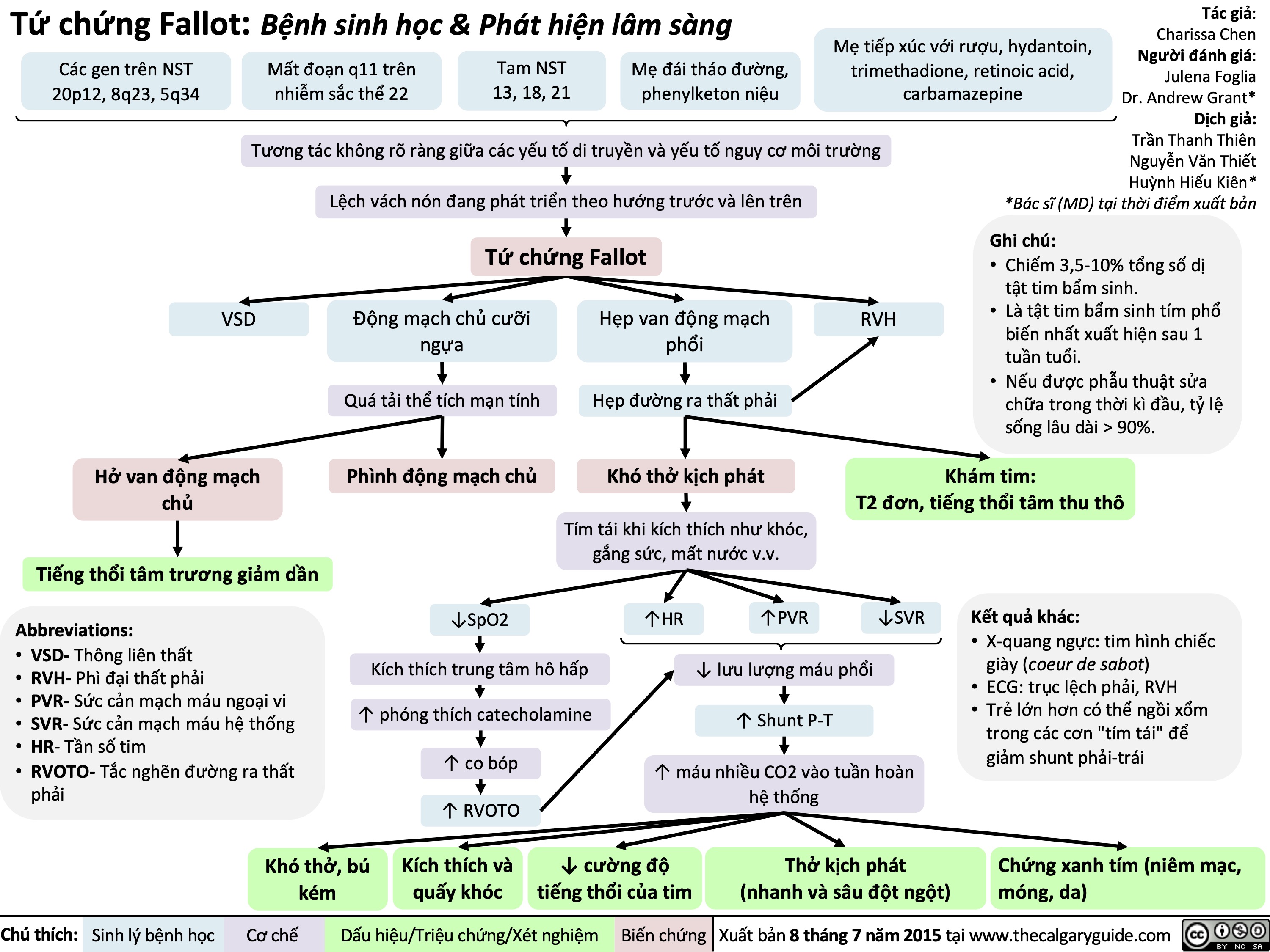 Tứ chứng Fallot: Bệnh sinh học & Phát hiện lâm sàng